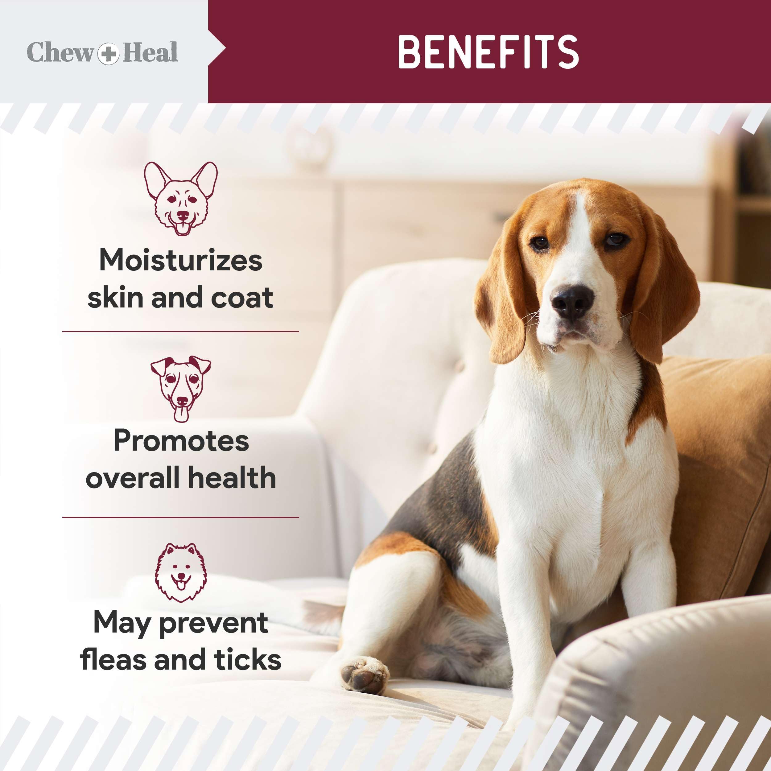 Chewable Flea and Tick Prevention for Dogs - 180 Delicious Soft Chews for Small and Large Dogs - Gluten, GMO, and Corn Free, Mad