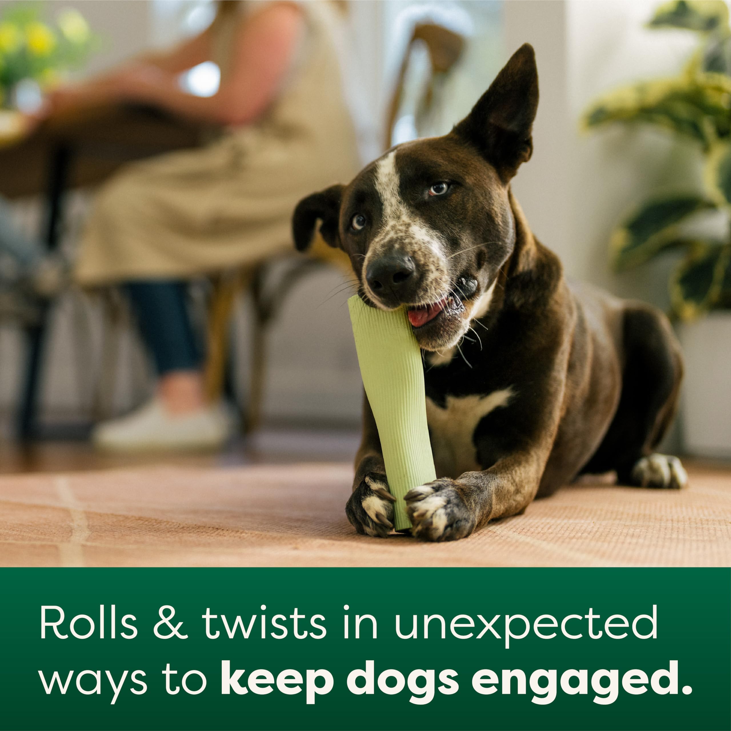 Earth Rated Dog Toy, Enrichment Toys for Adult and Puppy Dogs, Dishwasher and Freezer-Safe, Natural Rubber, Small, Green