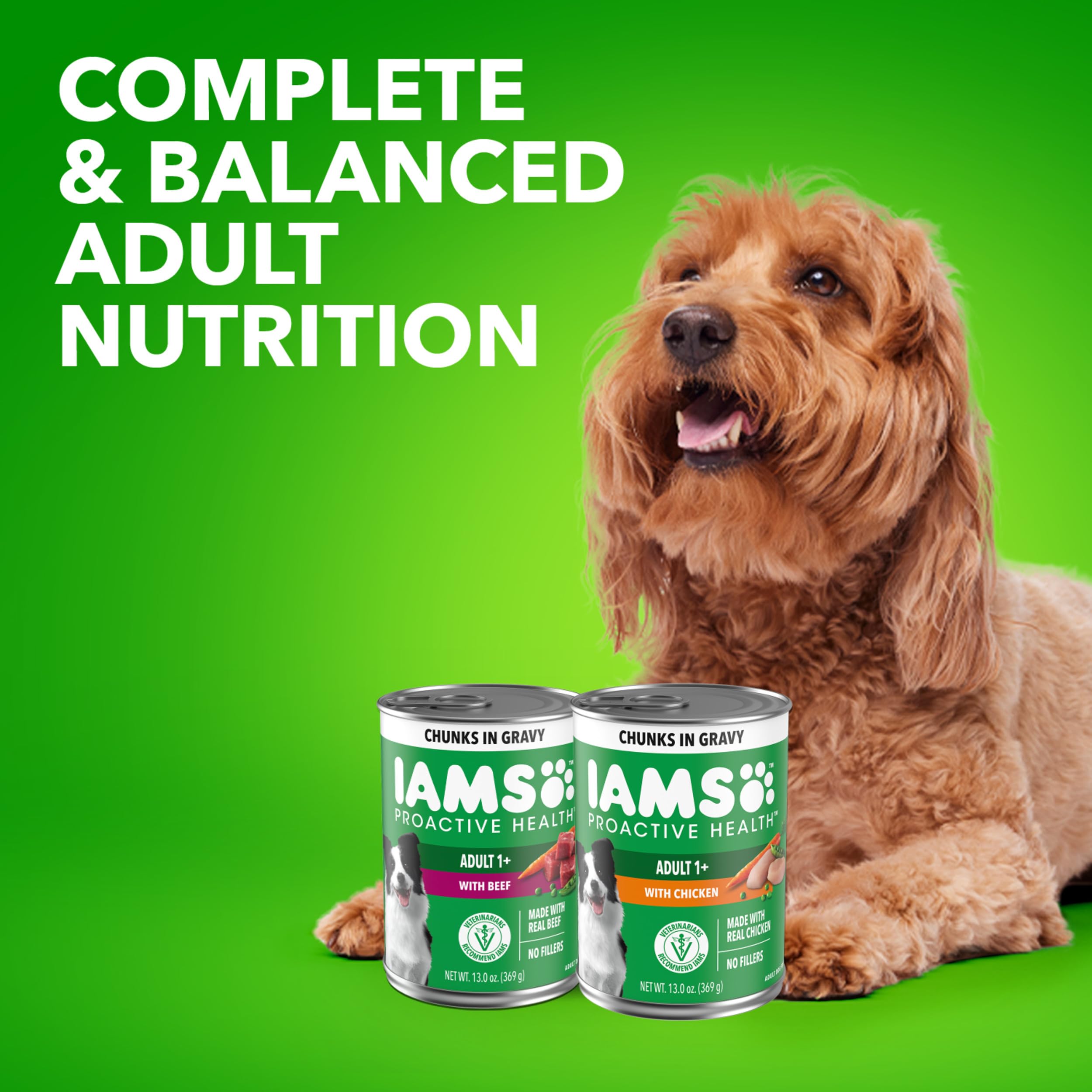 IAMS Proactive Health Adult Wet Dog Food Chicken Chunks in Gravy or Beef Chunks in Gravy, 13 oz. Cans (12 Count, Pack of 1)