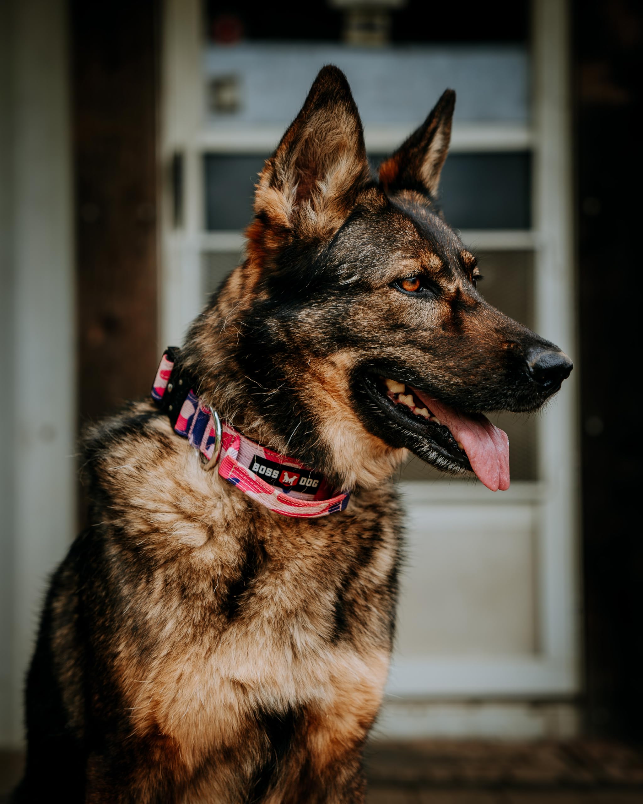 Boss Dog Tactical Collar, Pink Camo, Small