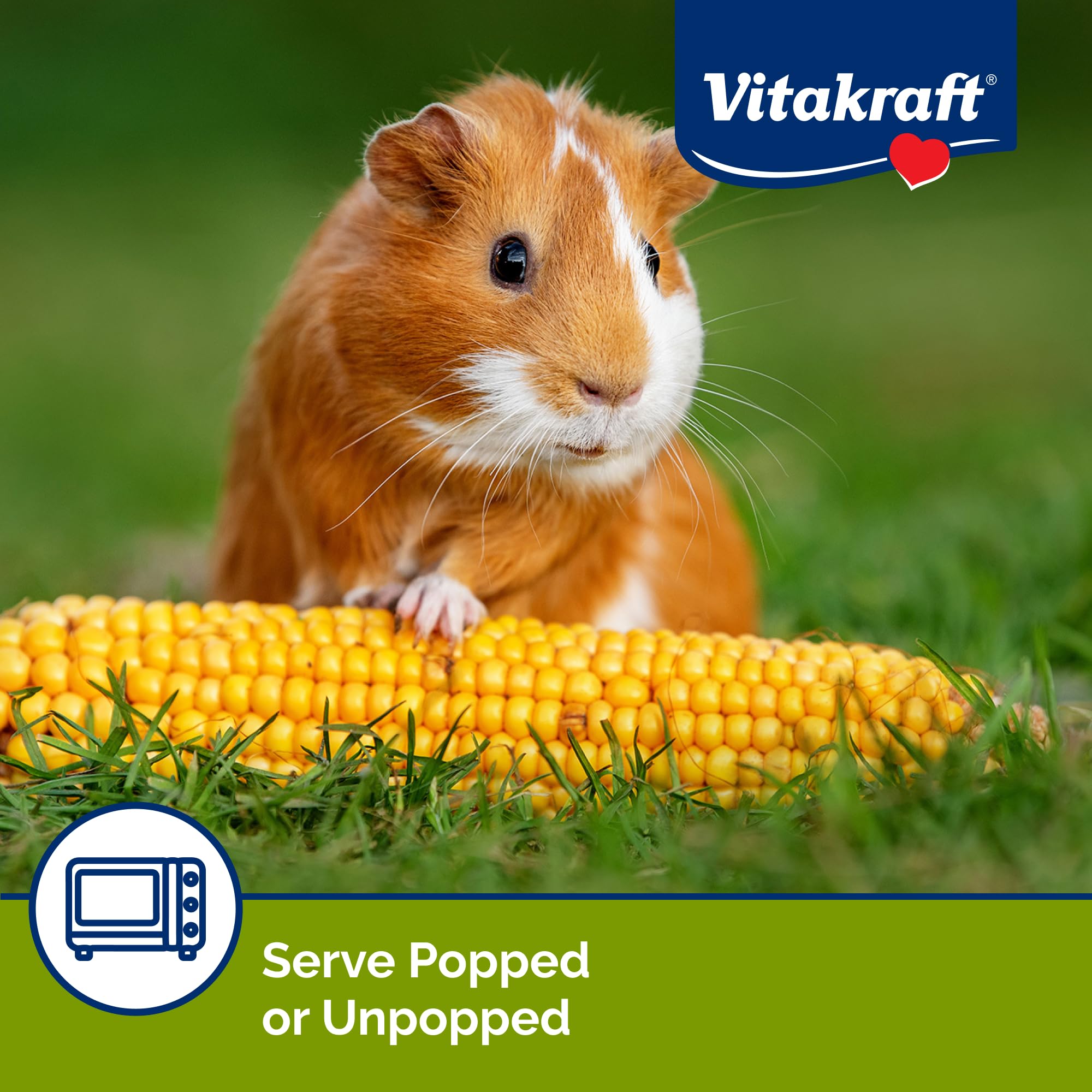 VC MINI POP INDIAN CORN TREAT