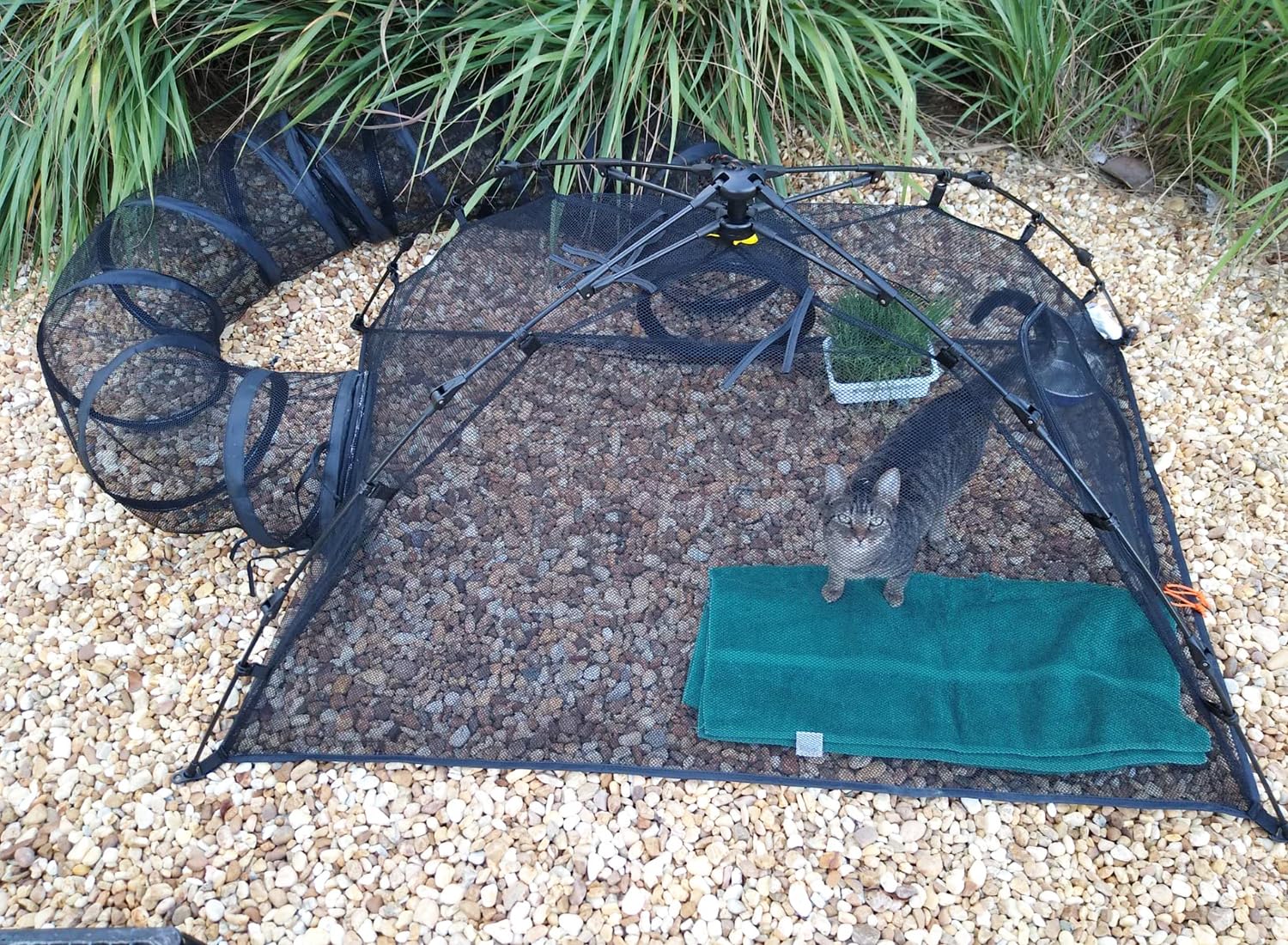 Betyman Outdoor Cat Enclosures Cat Tent Outdoor Pop Up Pet Playpen With One Cat Tunnels Portable Cat Playhouse (Play Tents For C