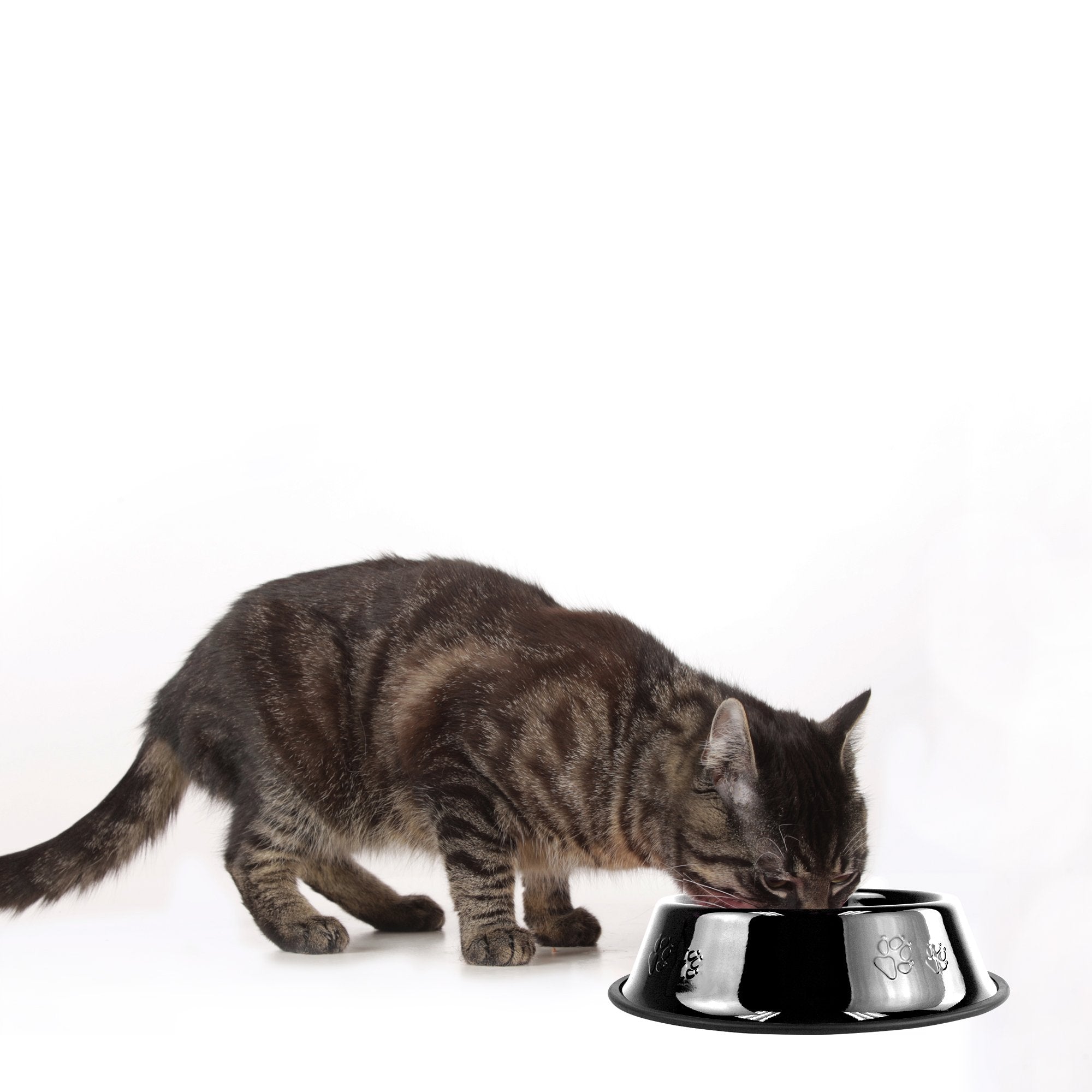 Platinum Pets Non-Tip Stainless Steel Dog Bowl, 6 Oz, Midnight Black, X-Small