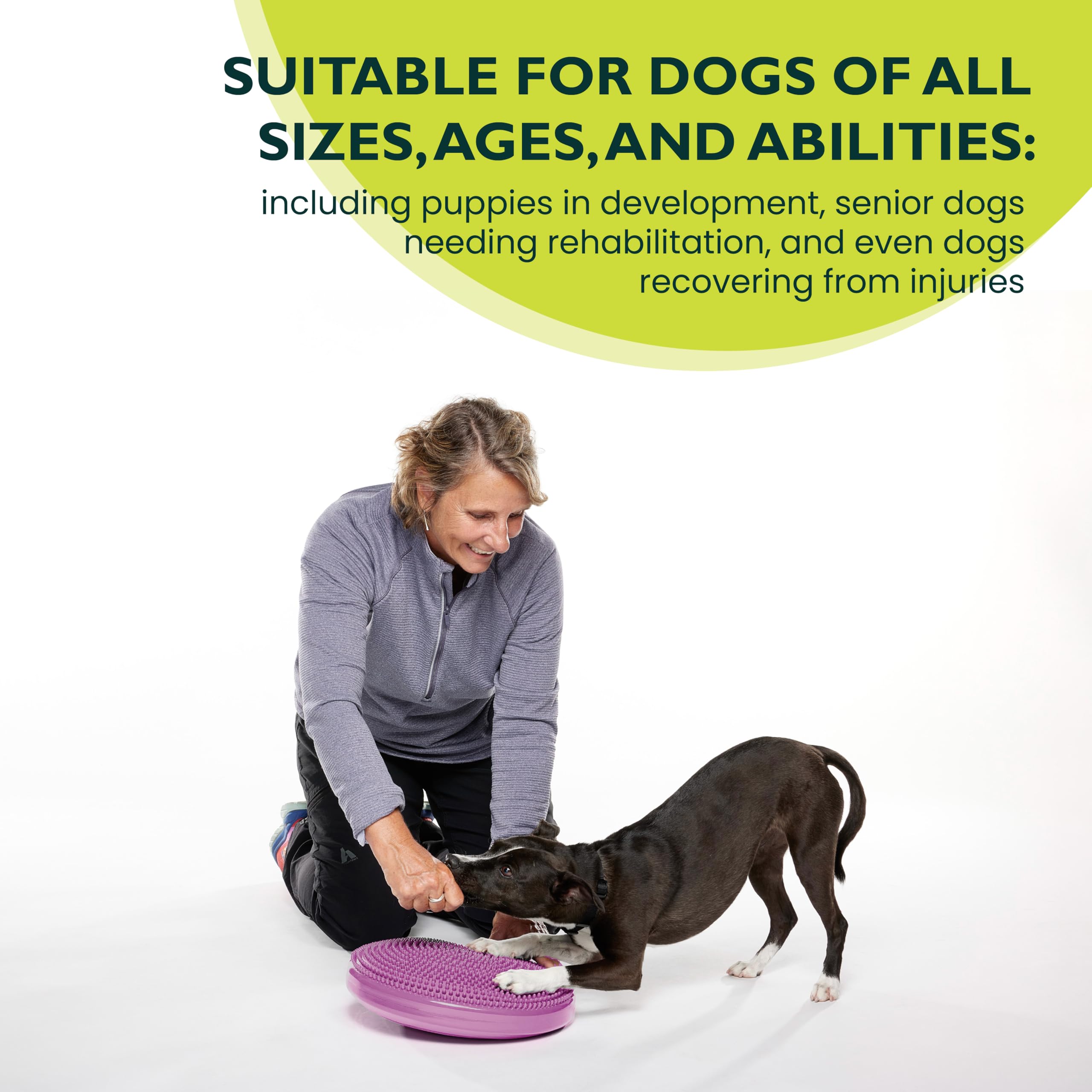 Fitpaws® Dog Balance Disc - Razzleberry, 14' | Dog Exercise Equipment | Workout Tool For Strength, Core, Stability & Rehabilitation