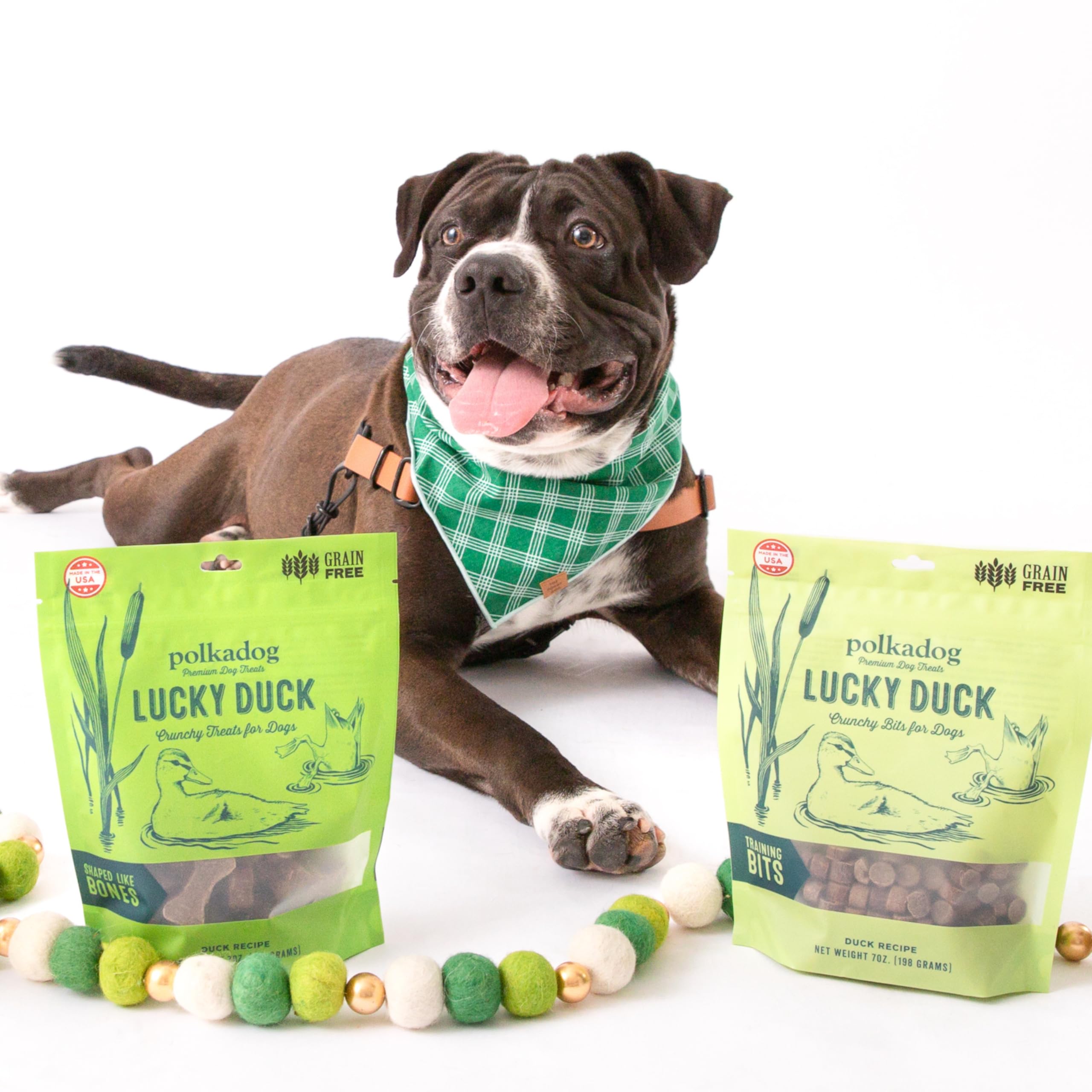 Polkadog Lucky Duck Bone-Shaped Dog Treats, Cat Snacks - All-Natural Pet Treats for Kittens, Puppies - Bite-Sized, Crunchy Snack