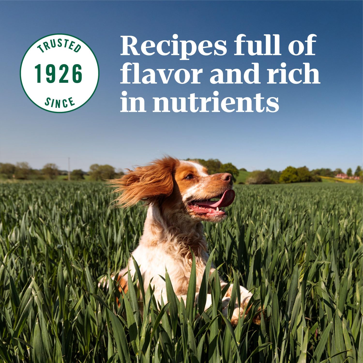 Nutro Natural Choice Adult Small Breed Dry Dog Food, Chicken and Brown Rice, 5 lbs.