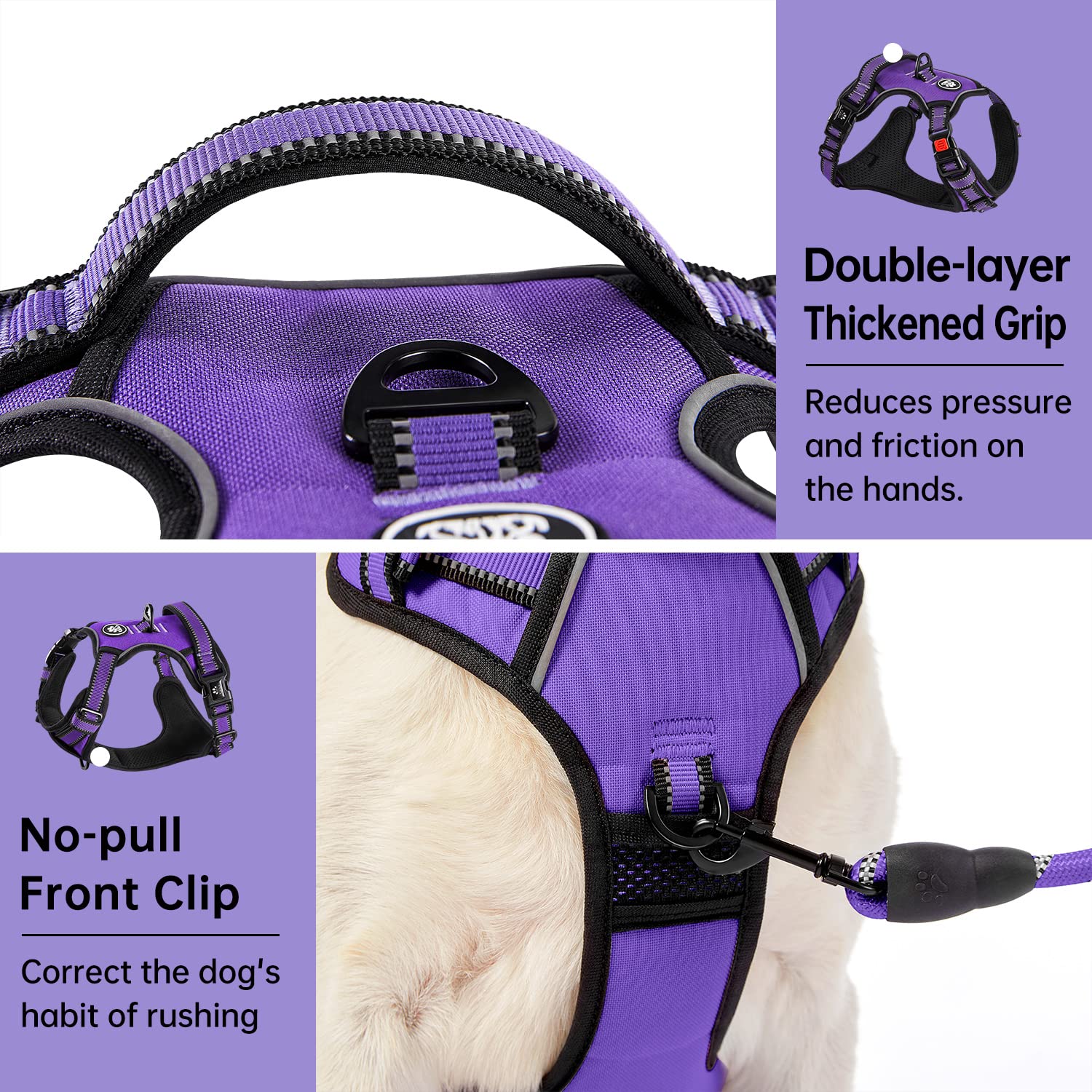 Ivy&Lane No Pull Dog Harness For Small Dogs, Dog Vest Harness With Leash, Safety Belt And Storage Strap, Fully Adjustable Harnes