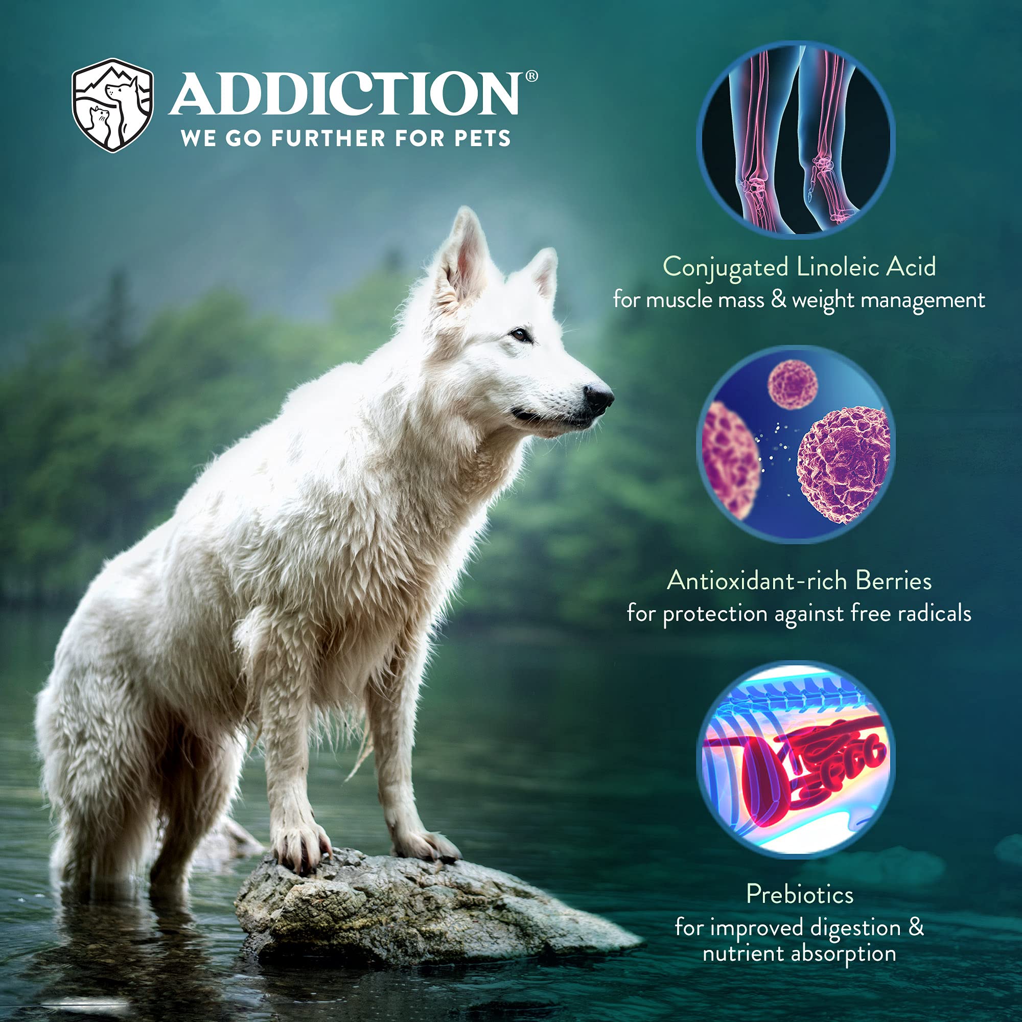 Addiction Homestyle Venison & Cranberry Dinner Raw Alternative Dog Food - Gently Air-Dried Complete Meal or Dog Food Topper for