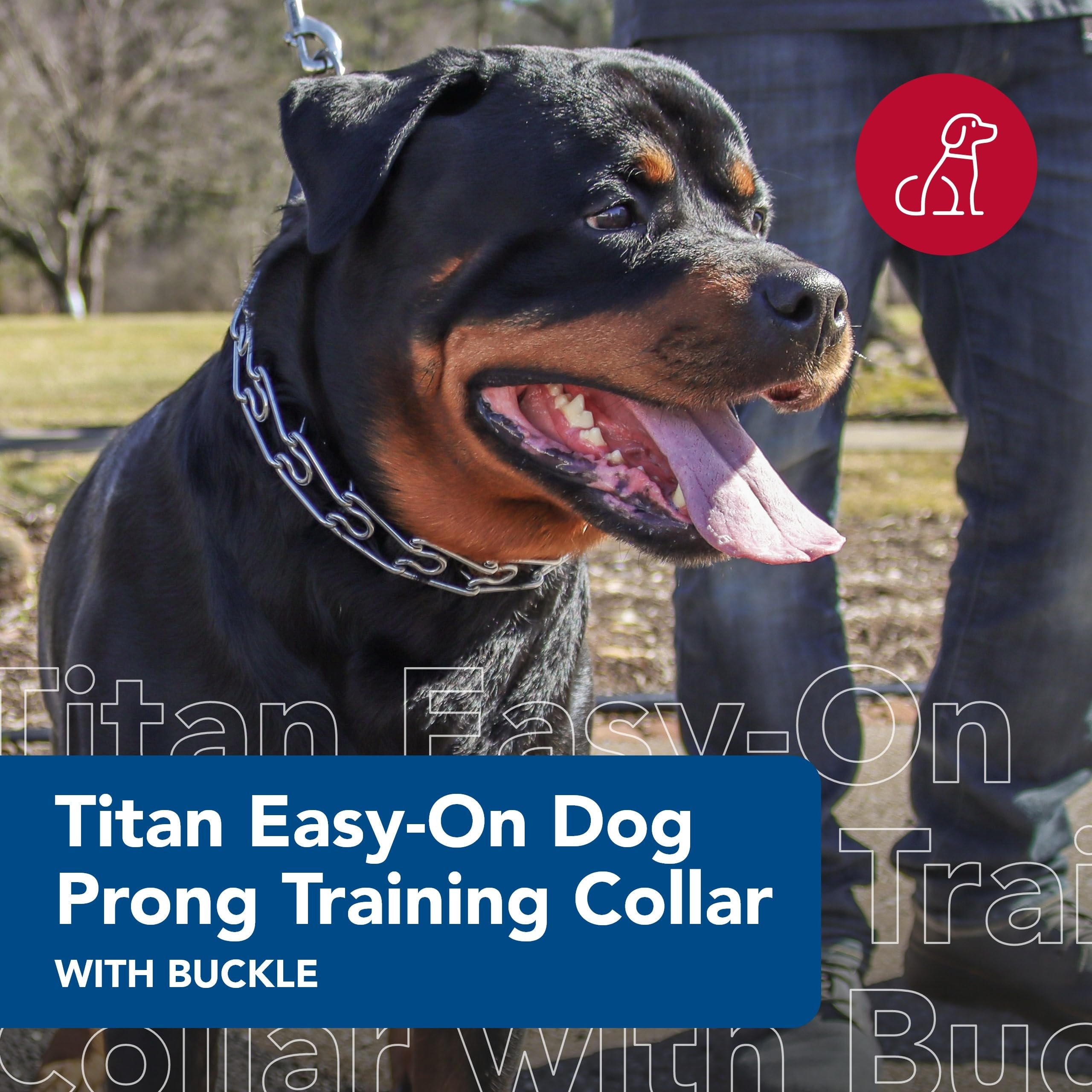 Coastal Pet Titan Easy-On Dog Prong Training Collar With Buckle - Training Collar For Dogs - Durable Metal Dog Collar - Training Collar With Side Release Buckle - Black, 4 Mm X 22'