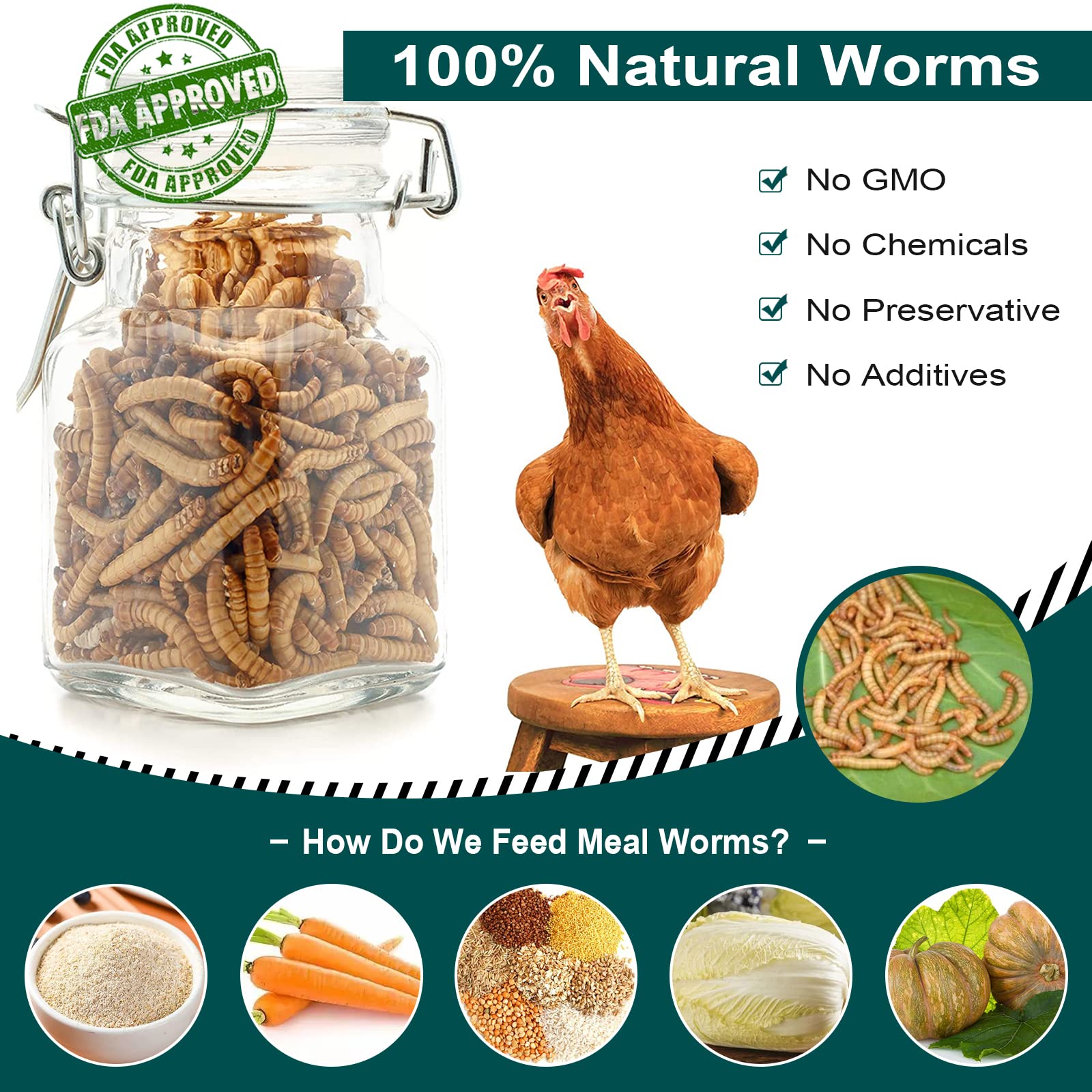 Euchirus 6LBs Non-GMO Dried Mealworms,High-Protein Larvae Treats Feed Molting Supplement for Birds Hens Ducks etc,Large Bulk Mea