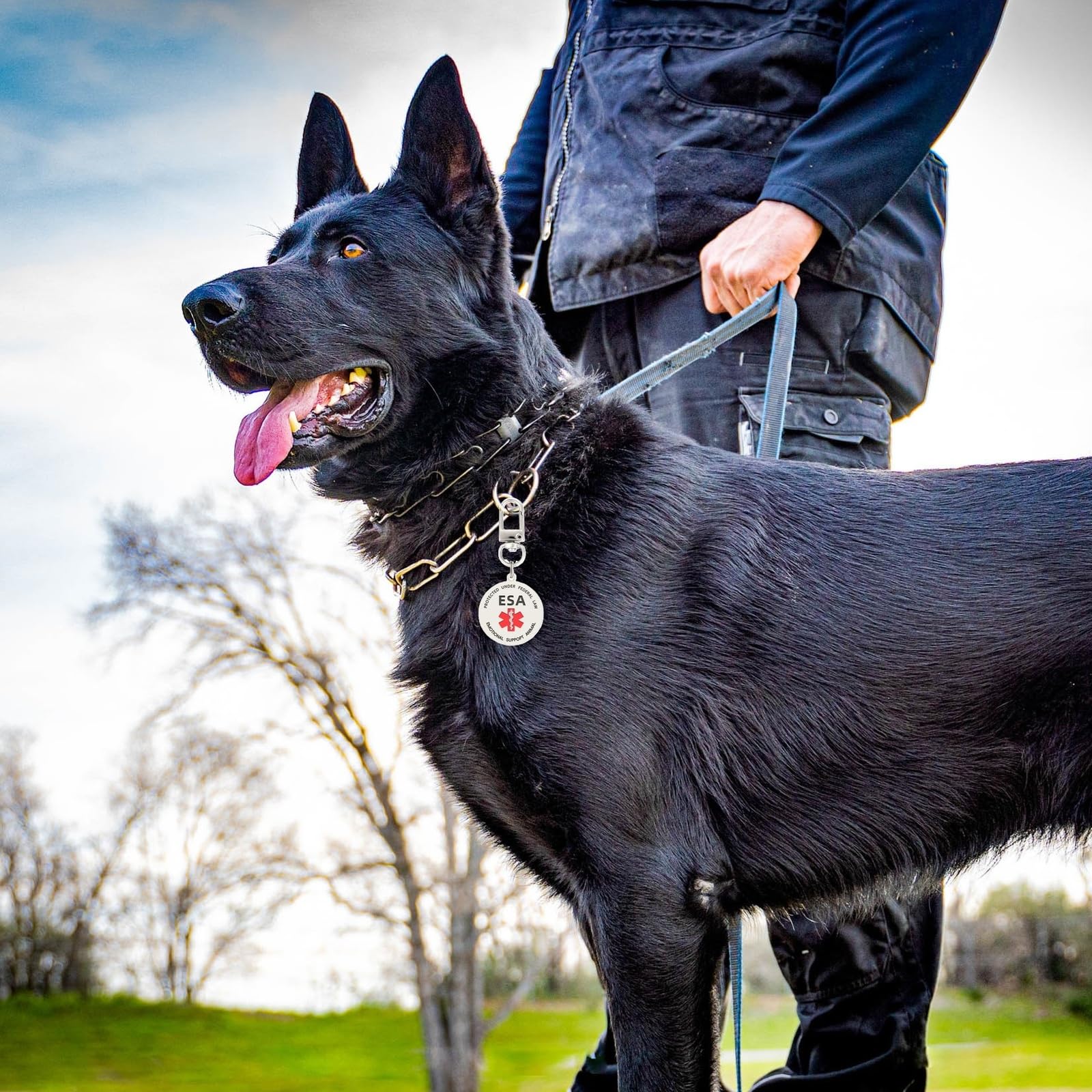 Mydeeryoo Esa Dog Id Tag Emotional Support Animal Easily Attach To Dog Collar, Harness (Medium-1.18 Inch)