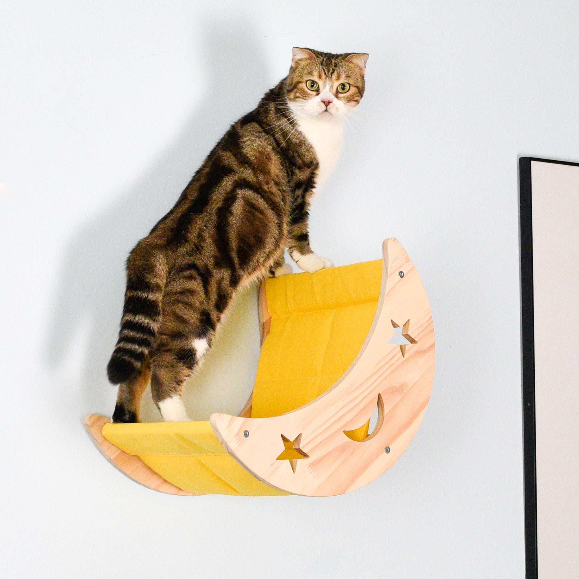 Ditosh Cat Hammock Moon Bed Wall Mounted Shelf Cat Wall Shelves And Perches Solid Wood Cat Wall Furniture Cats Wall Bed For Cats