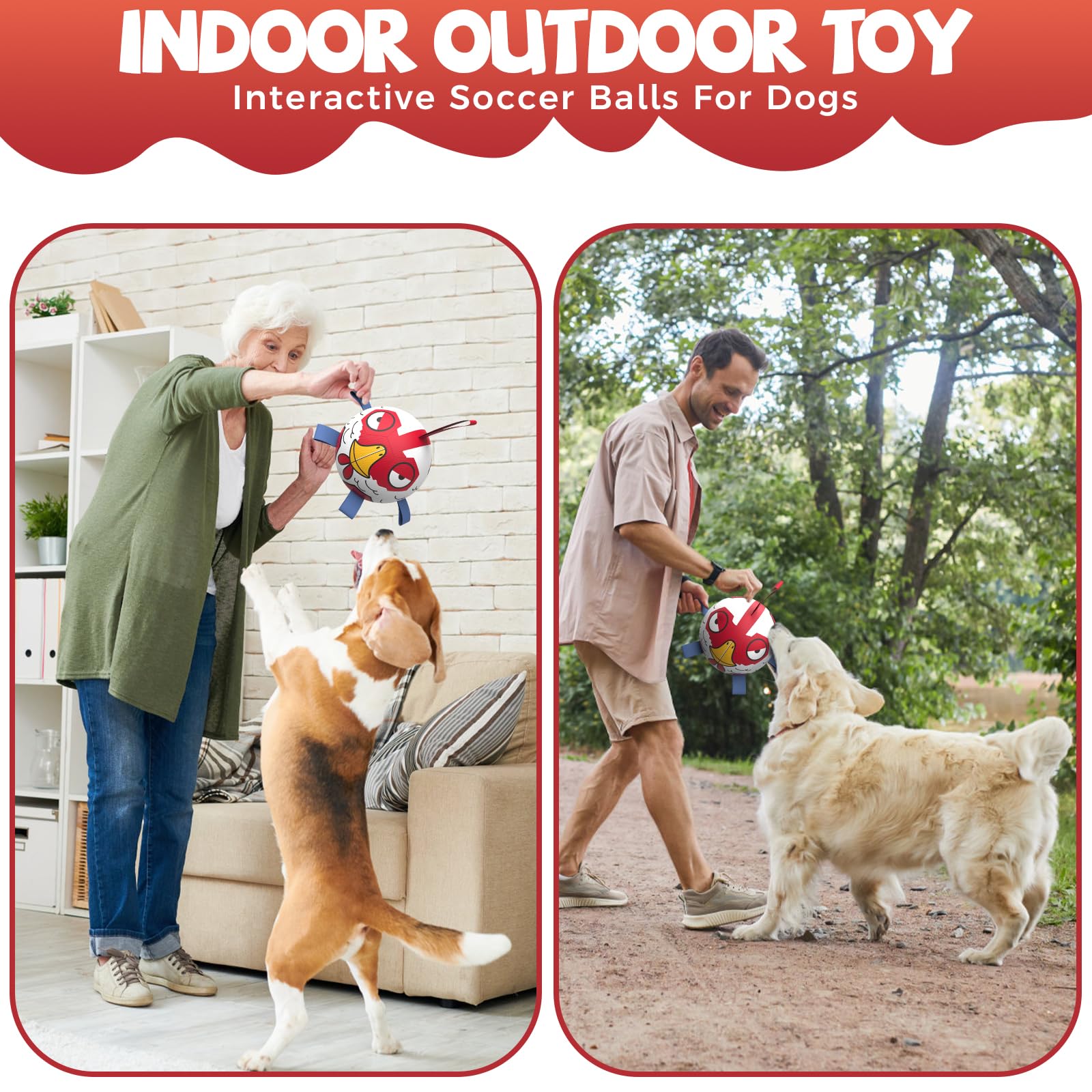 Qdan Dog Balls Toys, Outdoor Dog Toy For Small Medium Dog, Puppy Birthday Gifts, Dog Soccer Ball, 6 Inch, Chicken Dog Ball