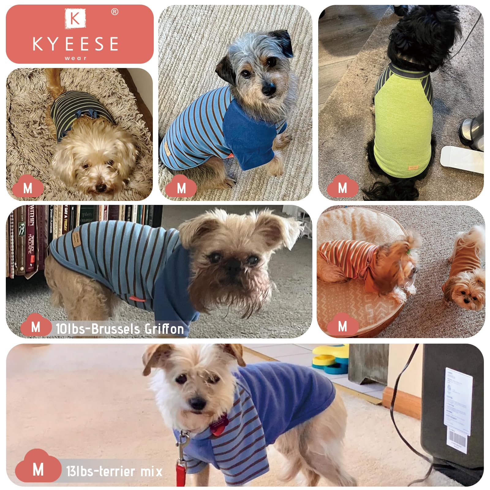 Kyeese Dog Shirt (2 Pack) - Super Soft Velvet, Stretchy, Lightweight, Breathable, For Small Dogs, Blue, M (17'' Chest, Turtle Ne