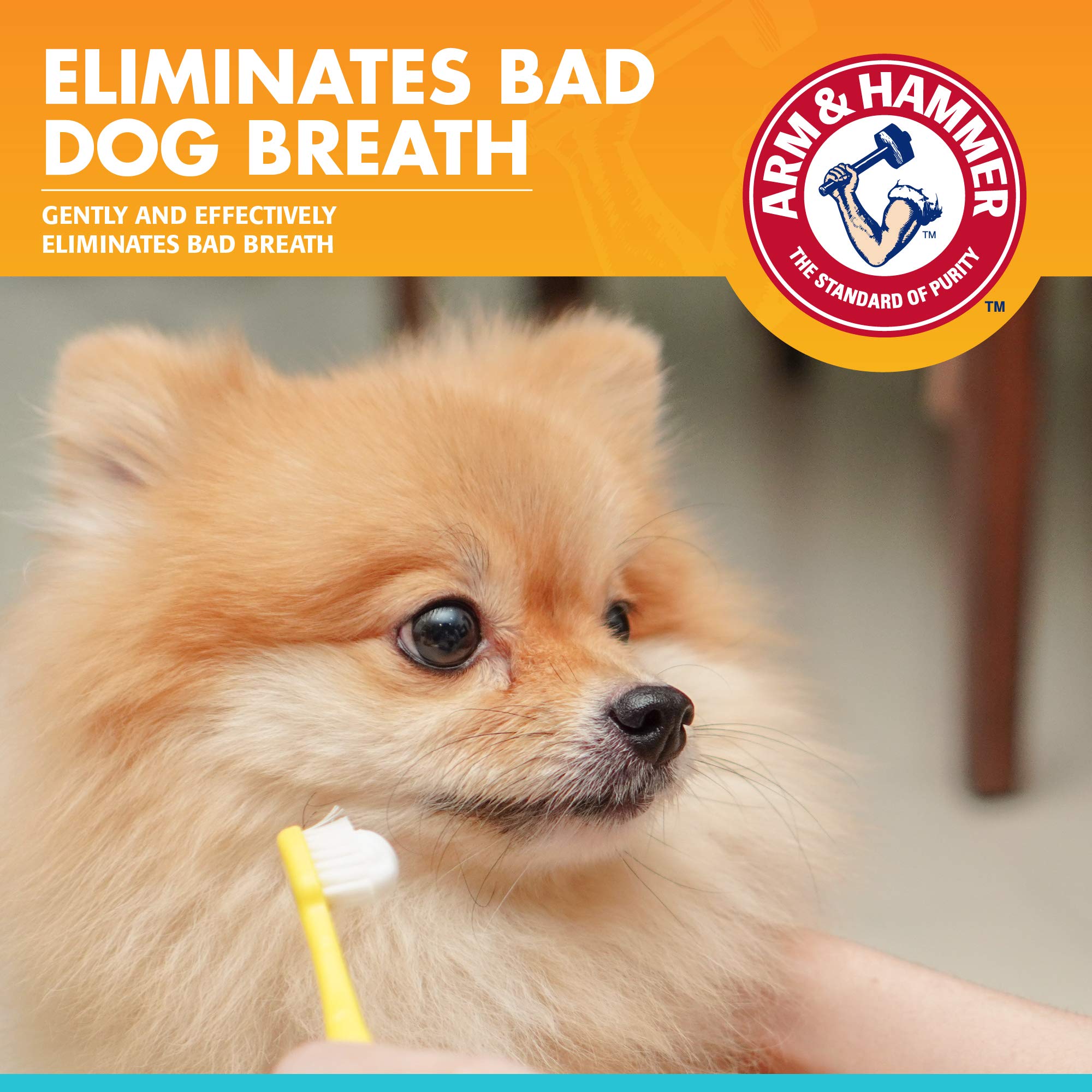 Arm & Hammer for Pets Dental Enzymatic Toothpaste for Dogs | No More Doggie Breath | Dog Toothpaste Safe for All Dogs and Puppie