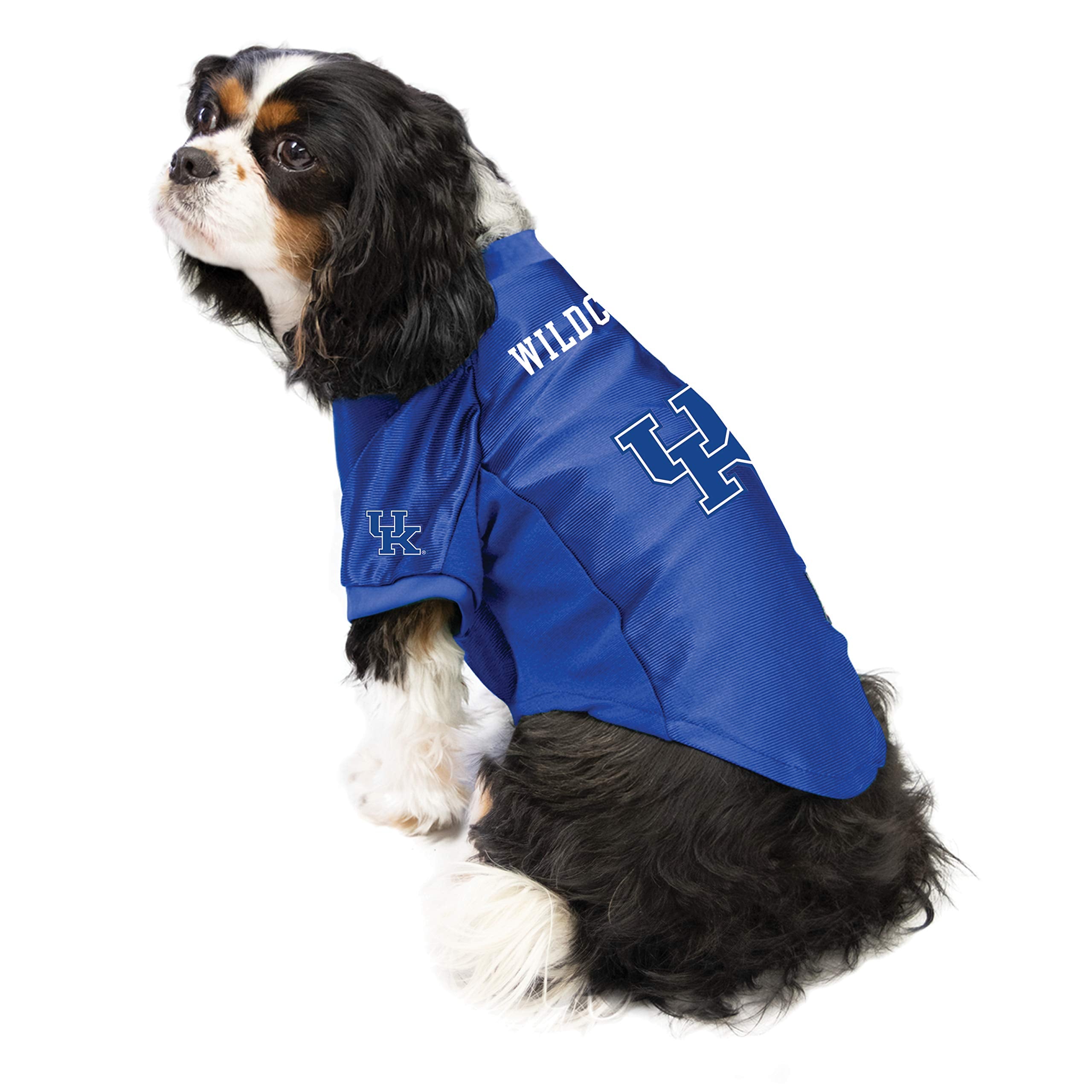 Kentucky Wildcats Pet Jersey Stretch Size M - Special Order