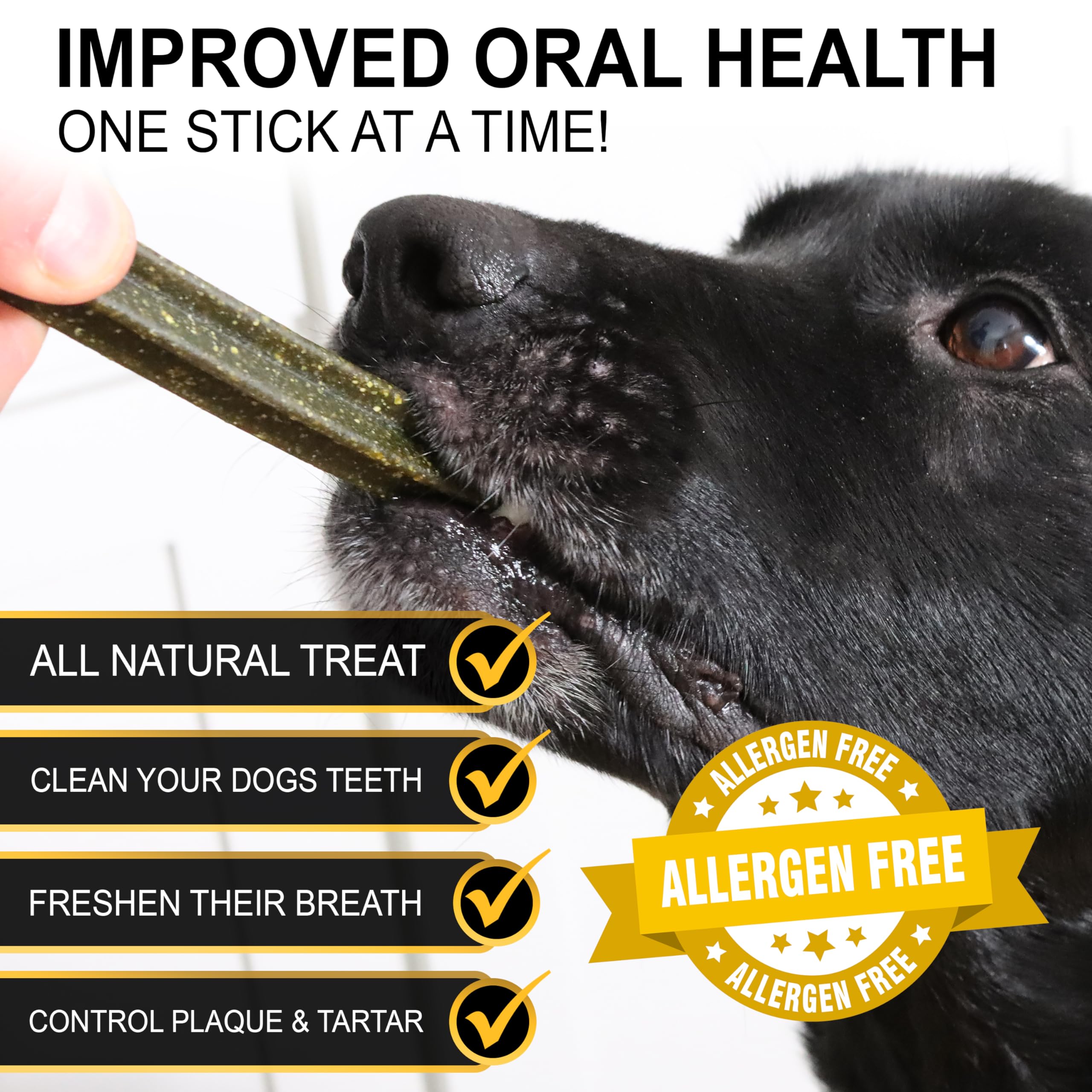 Jacks Premium Dental Treats for Dogs- Natural Chew for Dental Support & Tartar Control- Grain Free Functional Treat with Organi