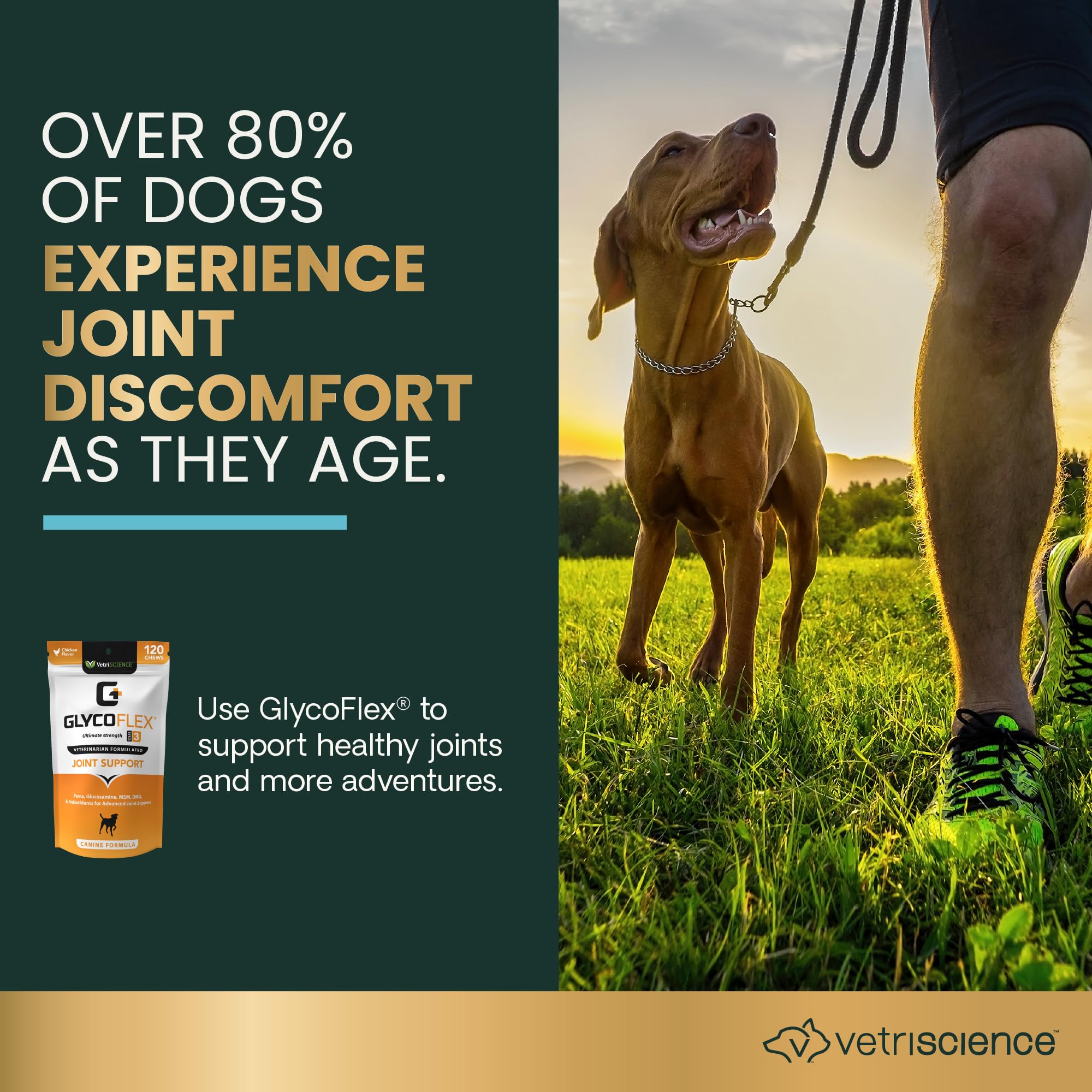VetriScience Glycoflex 3 Vet Strength Glucosamine for Dogs Hip and Joint Supplement, Chicken, 60 Chews - Clinically Proven Mobil
