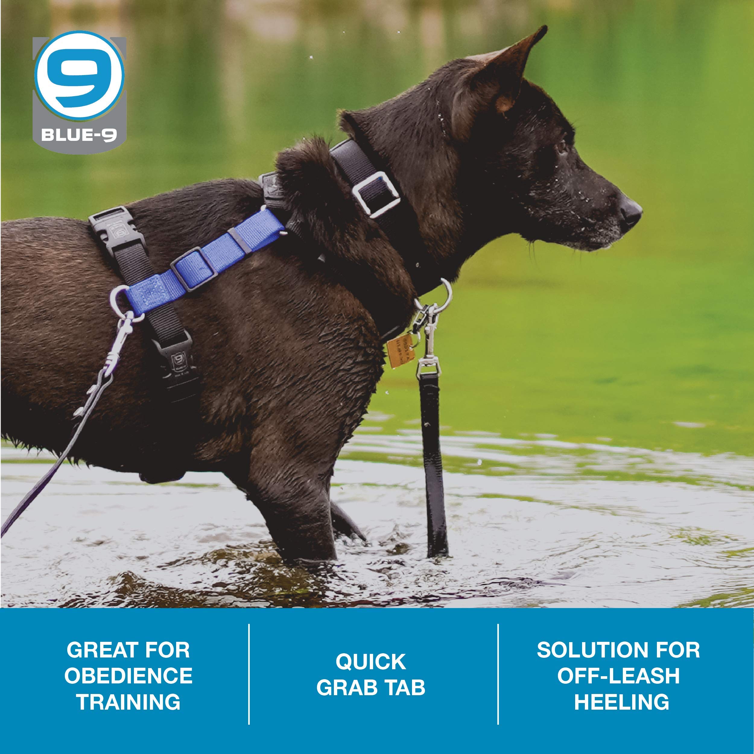 Blue-9 Dog Training Leash, 9 Inch Tab Lead For Obedience, Recall, And Agility Training, Made In The Usa, Lime Green