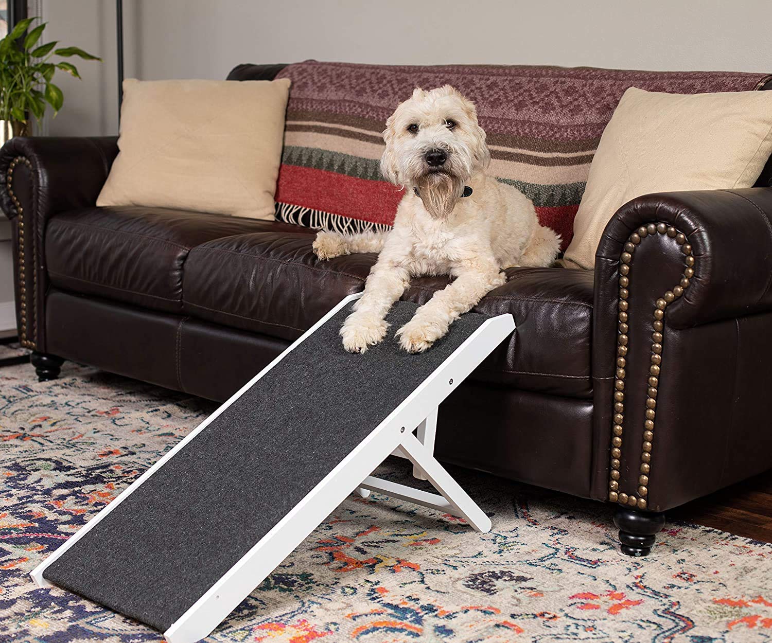 Birdrock Home Adjustable Dog Ramp For Low Beds Or Couches - Small Dogs Or Cats Only - Decorative Wooden Folding Doggie Ramps - Paw Friendly Grip Carpet - White 16'