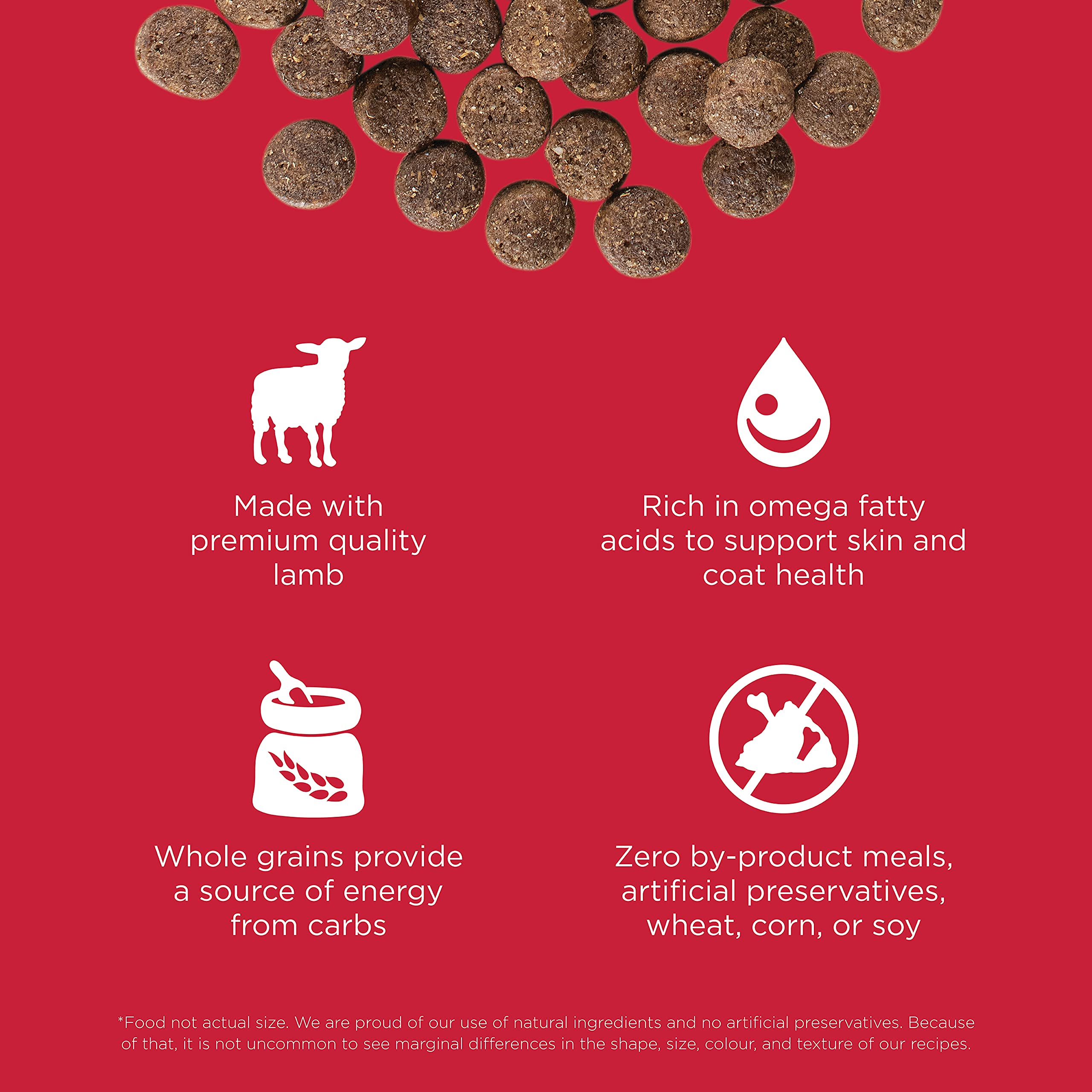 Go! Solutions Skin + Coat Care, Dry Dog Food, Lamb Recipe with Grains, 12 lb Bag