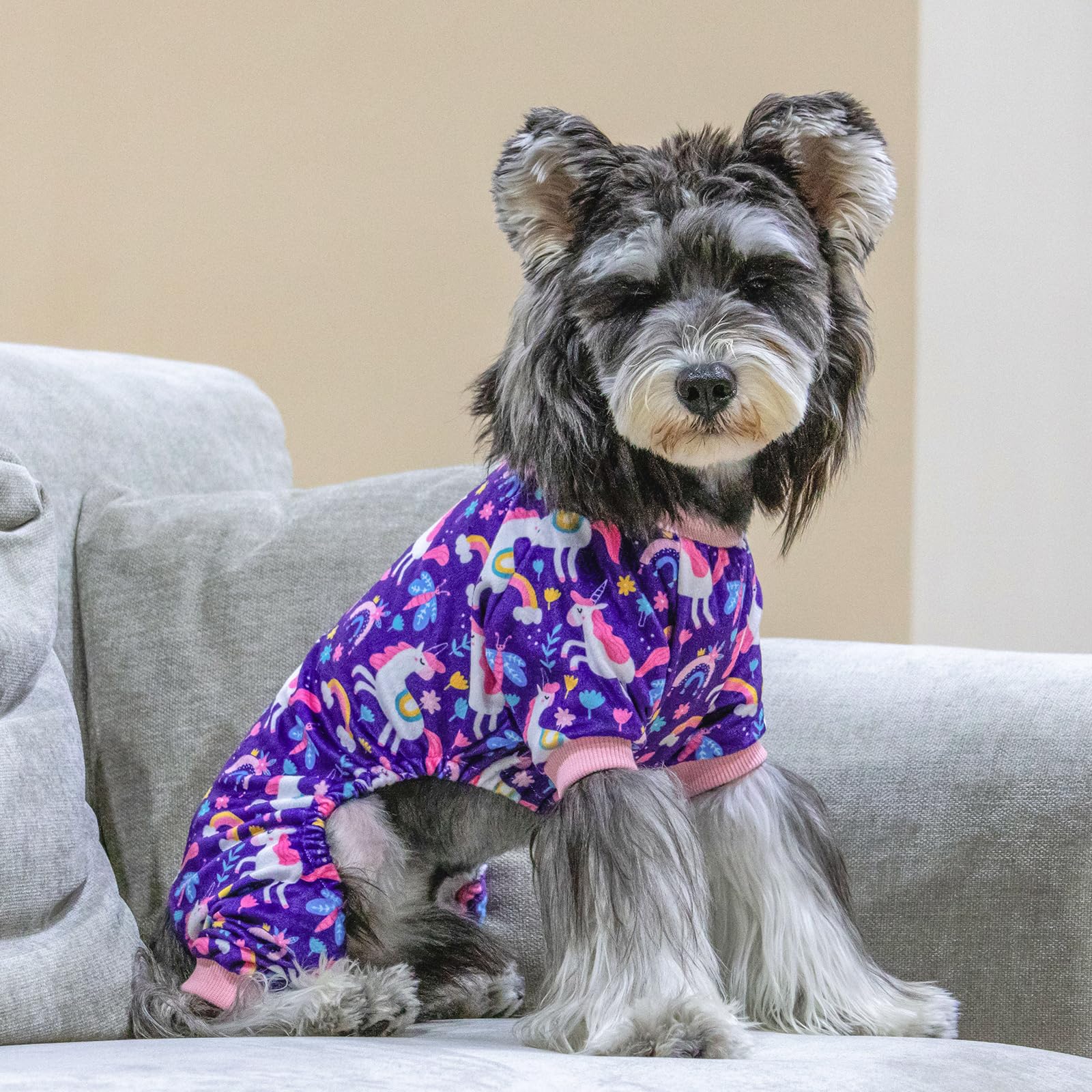 Cutebone Dog Halloween Pajamas Puppy Onesies Christmas Small Dogs Soft Pjs Coat Cat Apparel Comfy Pet Clothes Outfit Doggie Bodysuit P291S