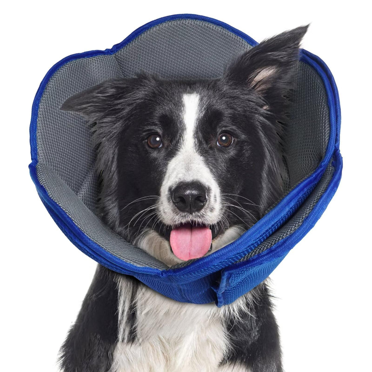 Dog Cone For Dogs After Surgery,Adjustable Protective Dog Recovery Collars & Cones For Large Medium Small Dogs Cats,Comfy Soft D