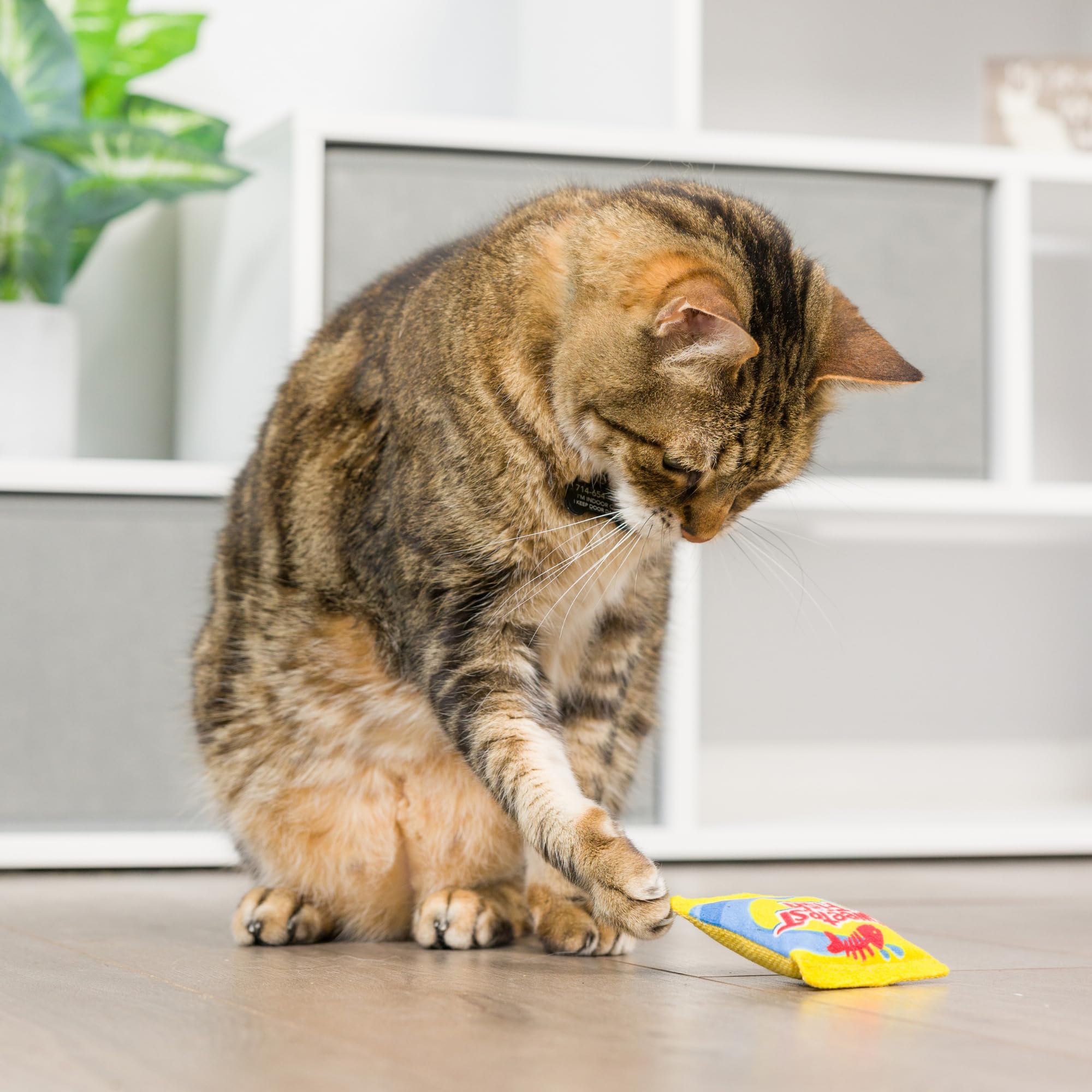 Huxley & Kent Plush Cat Toy - Sweetest Fish - Snack Attack Strong Catnip Filled - Plush Interactive Kitten And Cat Toy With Catn