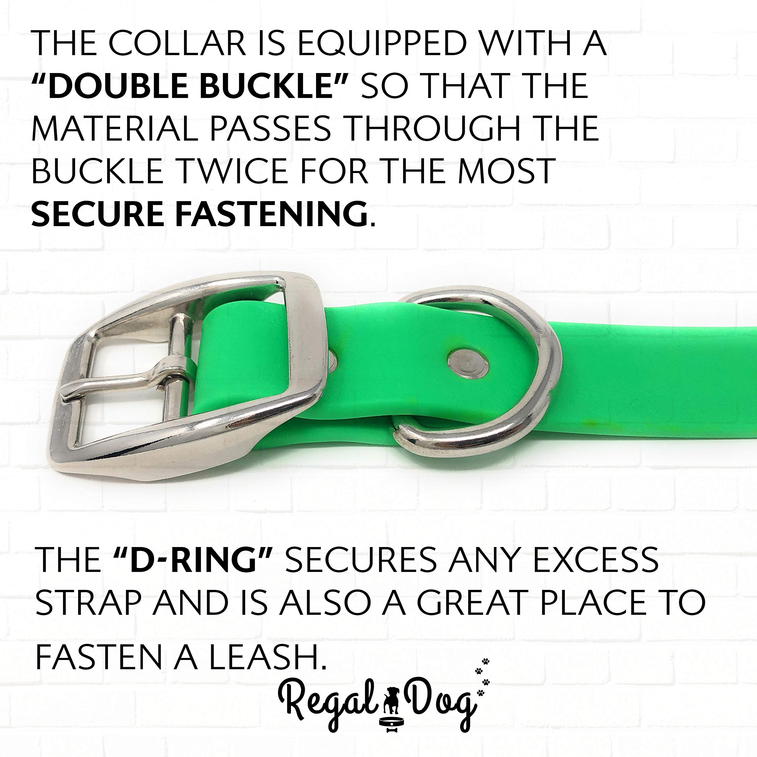 Regal Dog Products Large Light Green Waterproof Dog Collar With Heavy Duty Double Buckle & D Ring | Vinyl Coated, Custom Fit, Adjustable Biothane Dog Collar | Chew Resistant Waterproof Collar For Dogs