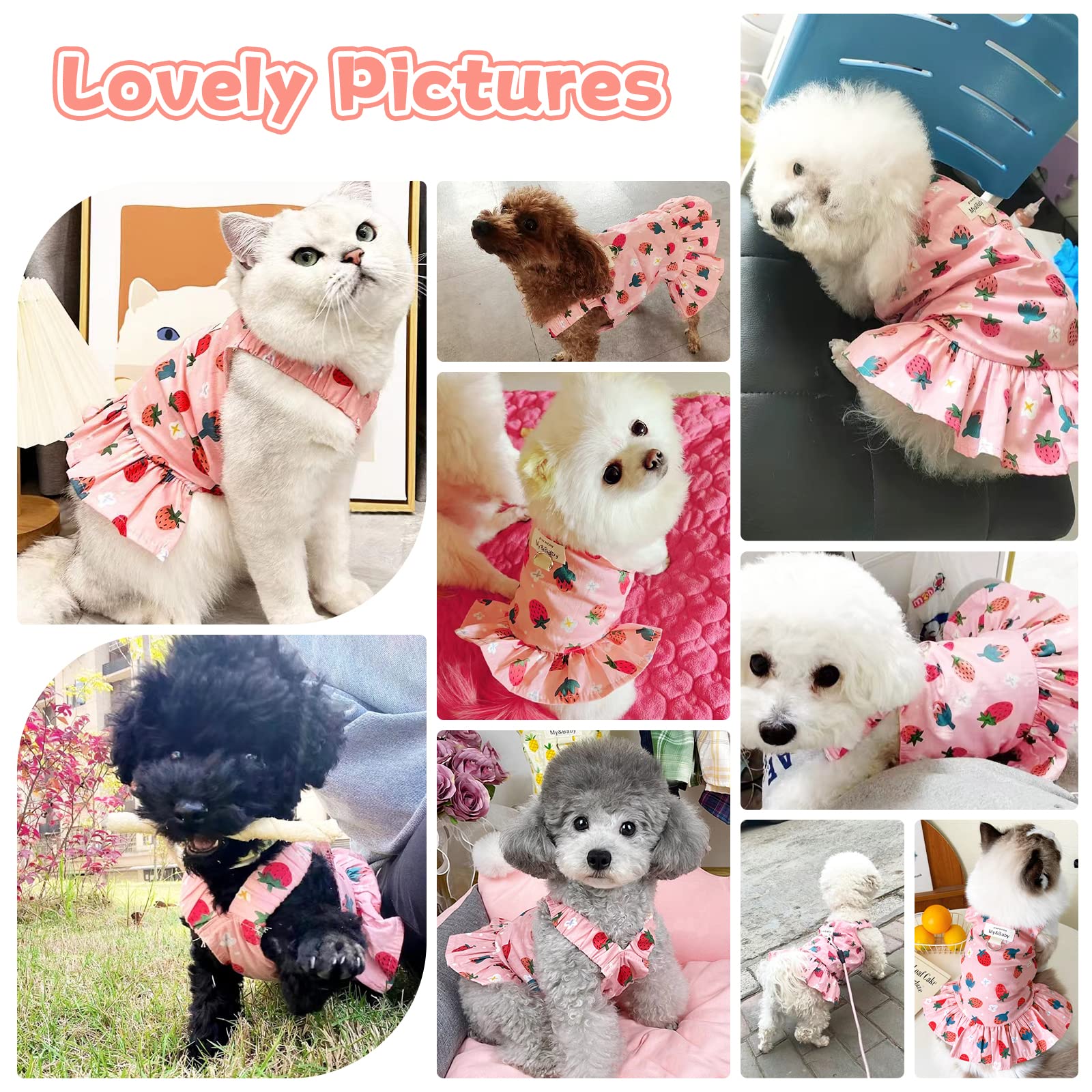 Petpubgnzs Small Dog Dress Harness And Leash Set Cute Princess Birthday Dog Dresses Soft Fruit Print Puppy Dresses Girl Dog Clot