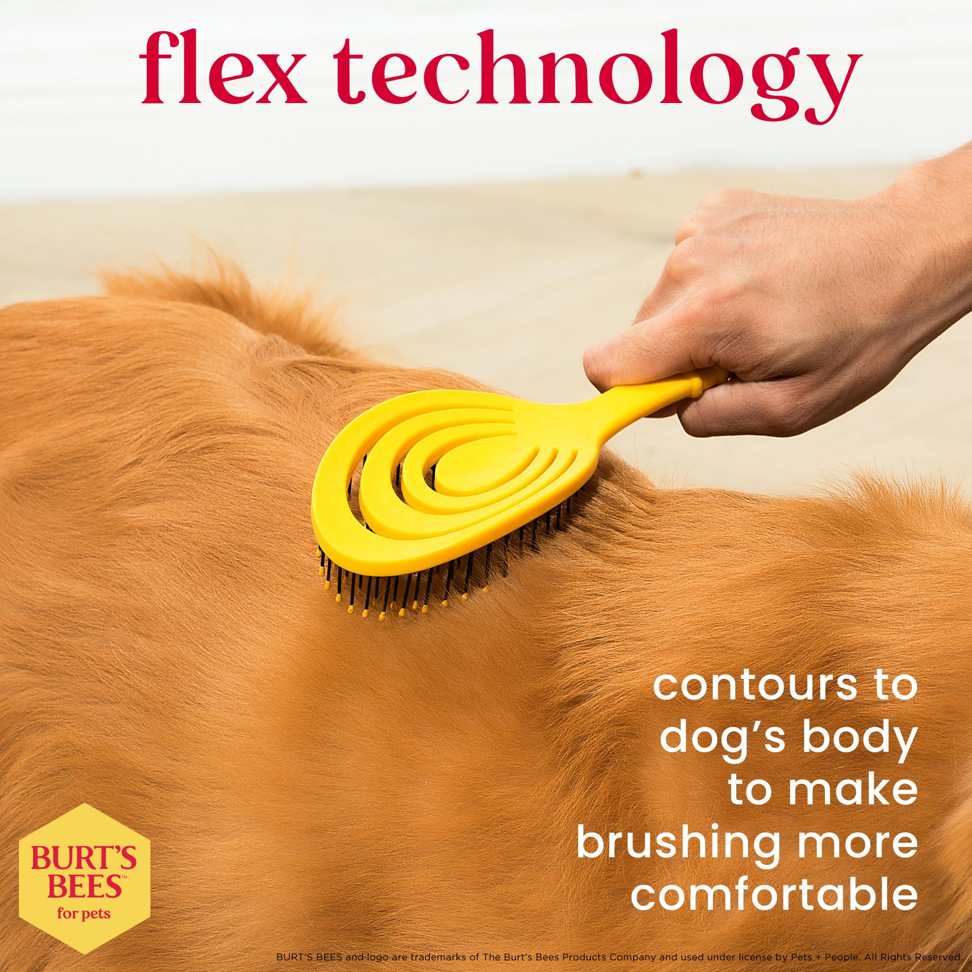 Burt's Bees for Pets Detangling Pin Brush for Dogs - 9 Inch, Plastic, Eco-Friendly Design, Ideal for Medium to Long Hair