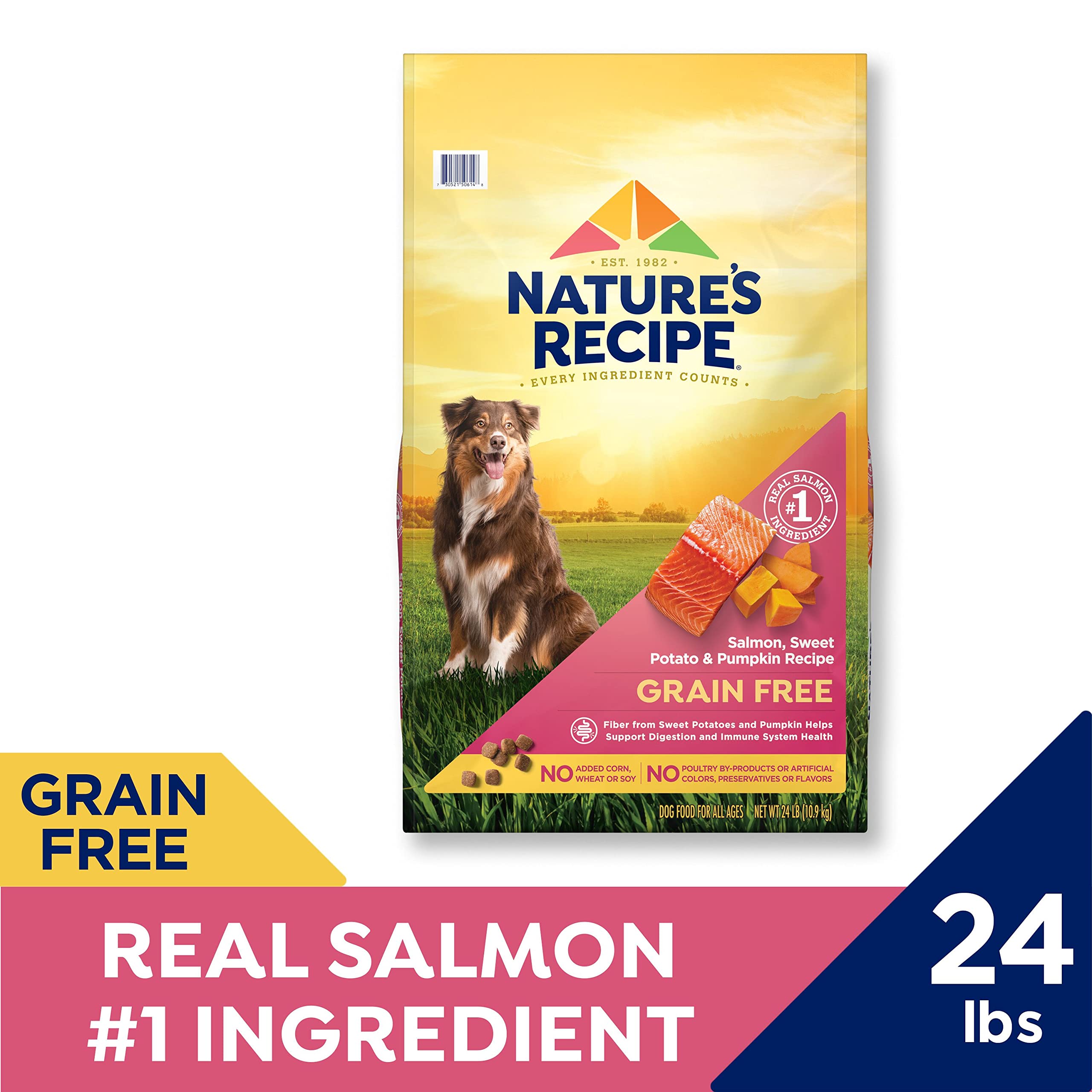 Natures Recipe Grain Free Salmon, Sweet Potato & Pumpkin Recipe Dry Dog Food, 24 lb. Bag