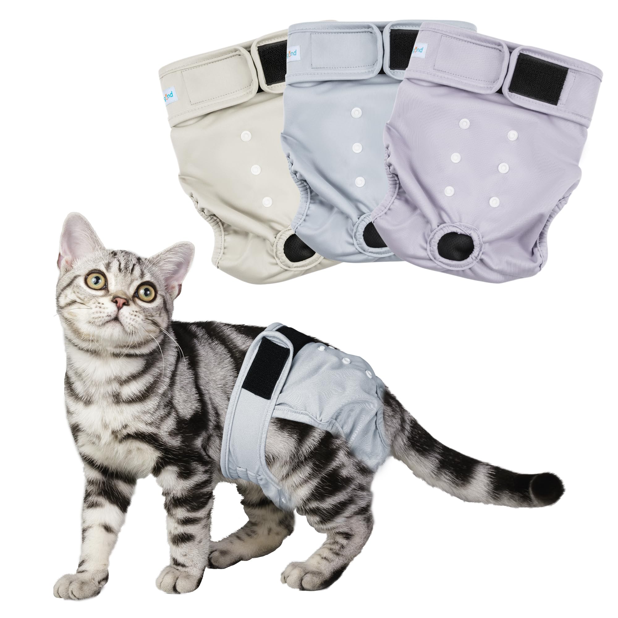 Paw Legend Cat Diapers for Female Cats Spraying Washable Reusable Kitten Diapers for Cats Incontinence Pet Diapers (3 Pack, X-Sm