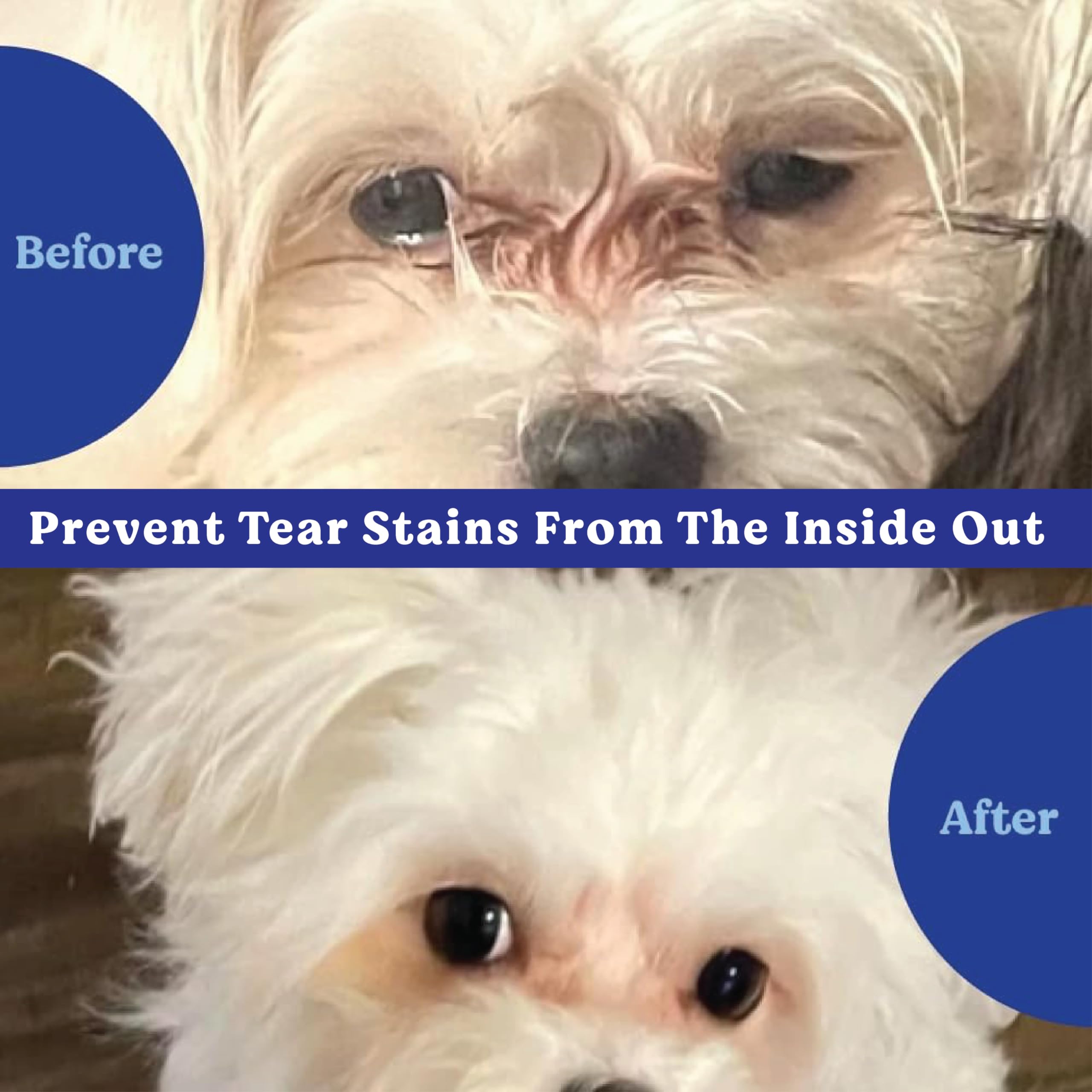 ANGELS  EYES Natural Tear Stain Prevention Soft Chews for Dogs | Chicken Flavor| For All Breeds | No Wheat No Corn | Daily Supp