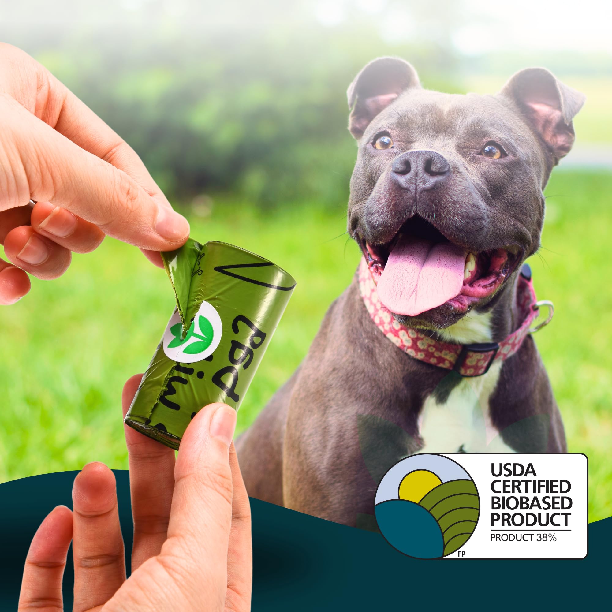 The Original Poop Bags - 92% Plant-Based Dog Waste Bags, Extra-Thick & Leakproof, Usda Certified Biobased, Unscented, 60 Bags (4