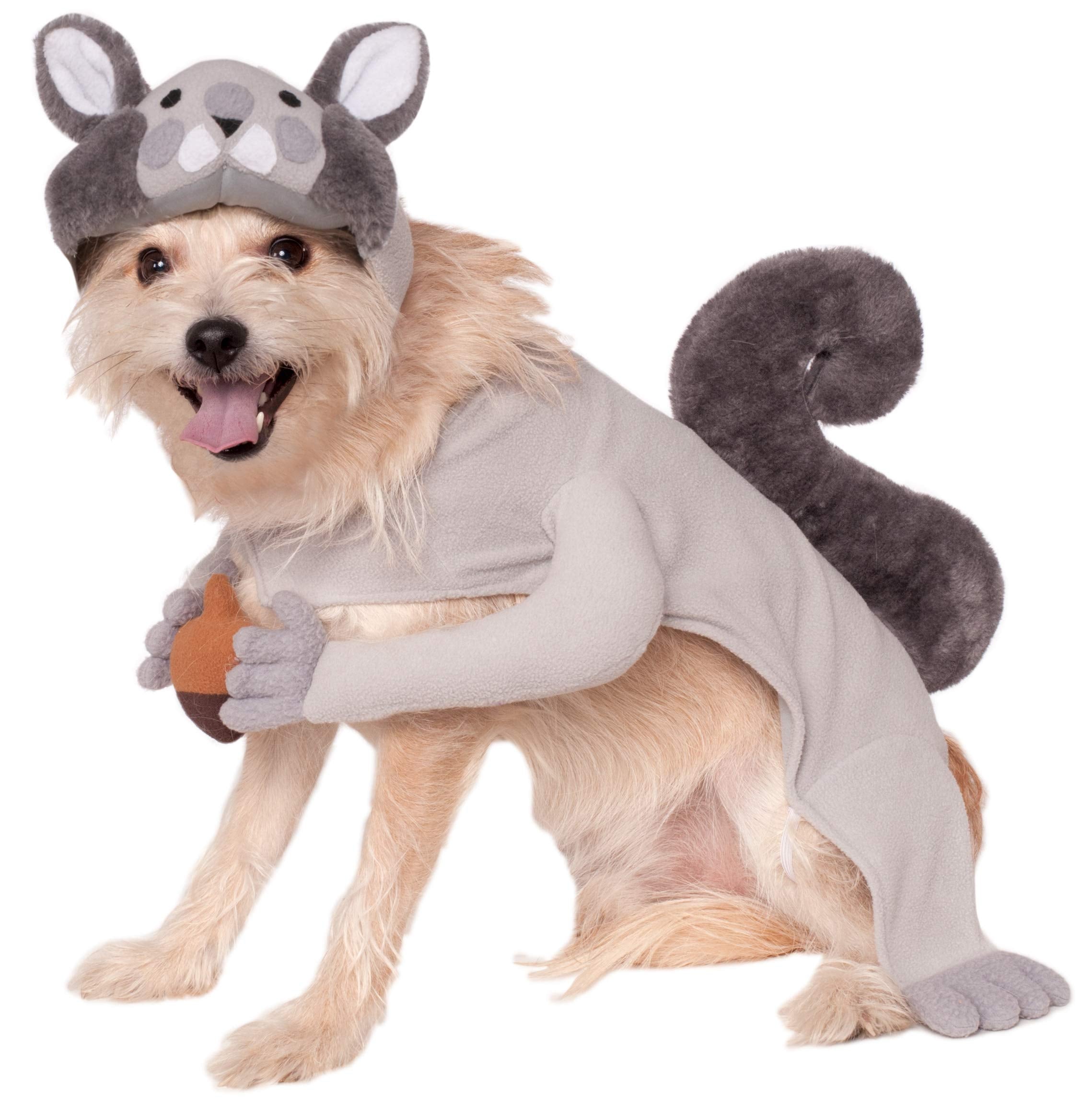 Rubies Squirrel Pet Costume, X-Large For Themed Parties And Halloween