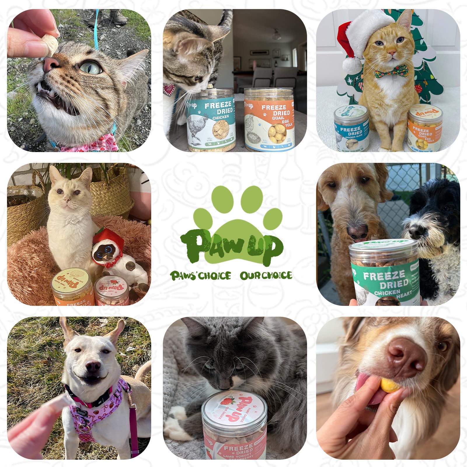PAWUP Freeze Dried Chicken for Dogs Cats, High Protein Raw Dog Food Topper, Single Fresh Ingredient Treats, 4.6oz, Rawhide Free