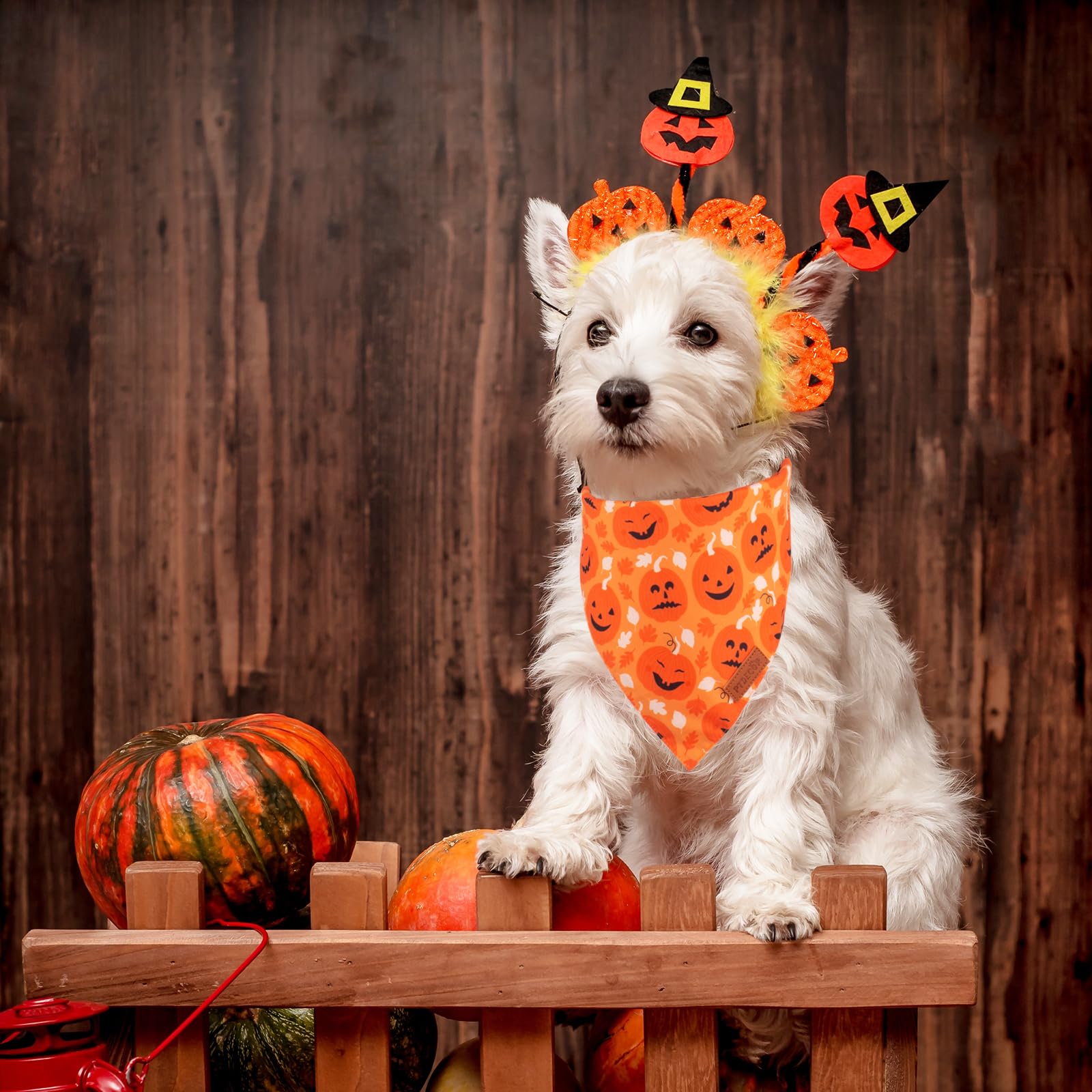 Ptdecor Halloween Dog Bandana, Reversible Holiday Pet Scarf, Multi Size, Triangle Puppy Halloween Bandanas For Small Dogs Puppie