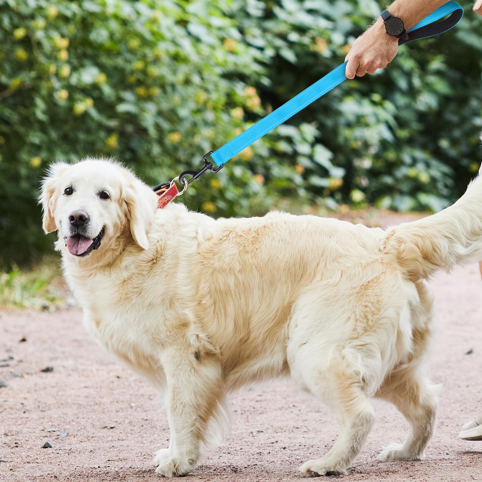 Chenedy Dog Leash, Short Dog Leash, 24 Inch, Black