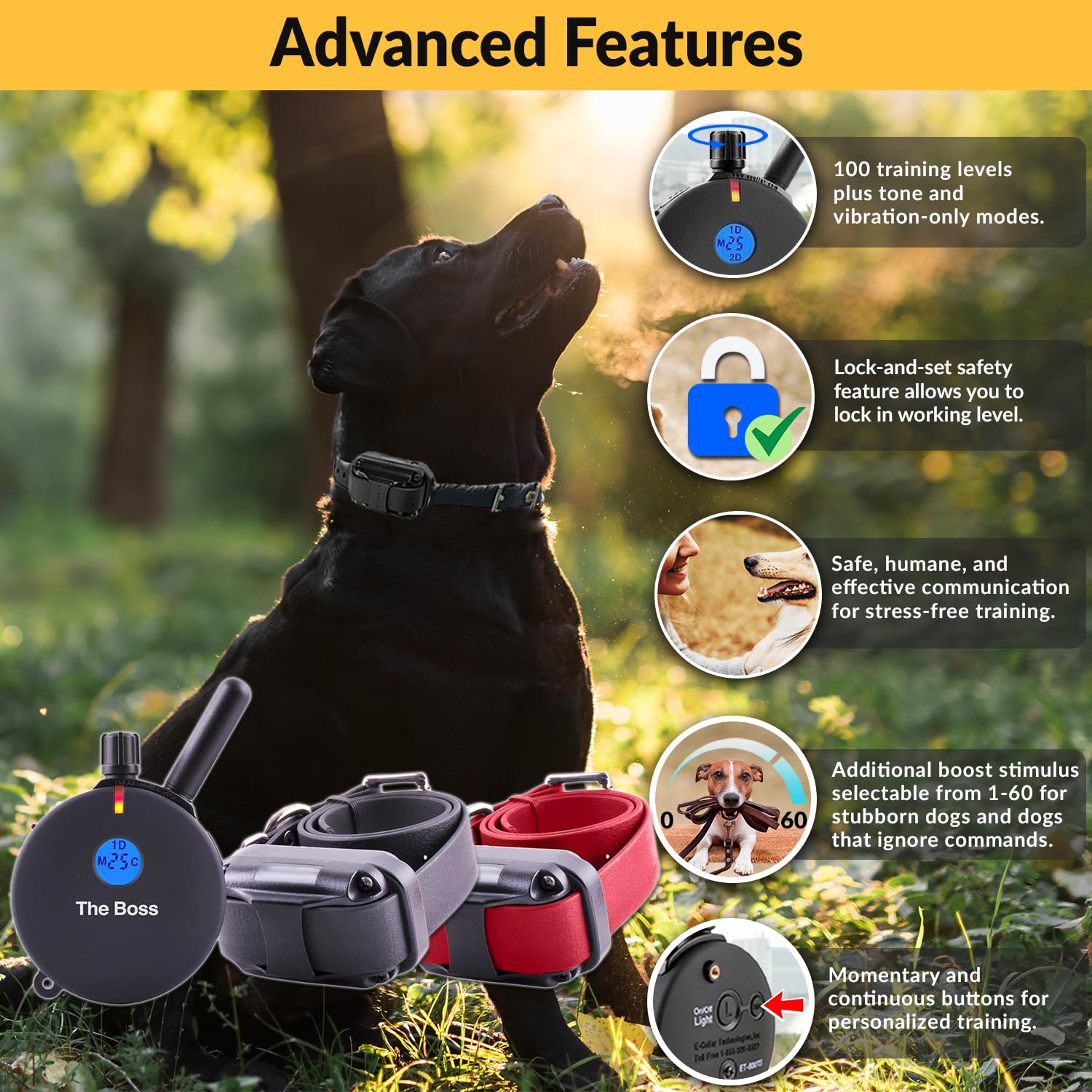 Educator E-Collar Humane Dog Training Collar With Remote, 100 Safe Tapping Stimulation Levels, Night Light, Waterproof, Rechargeable, 1 Mile 2 Large Dogs, Black
