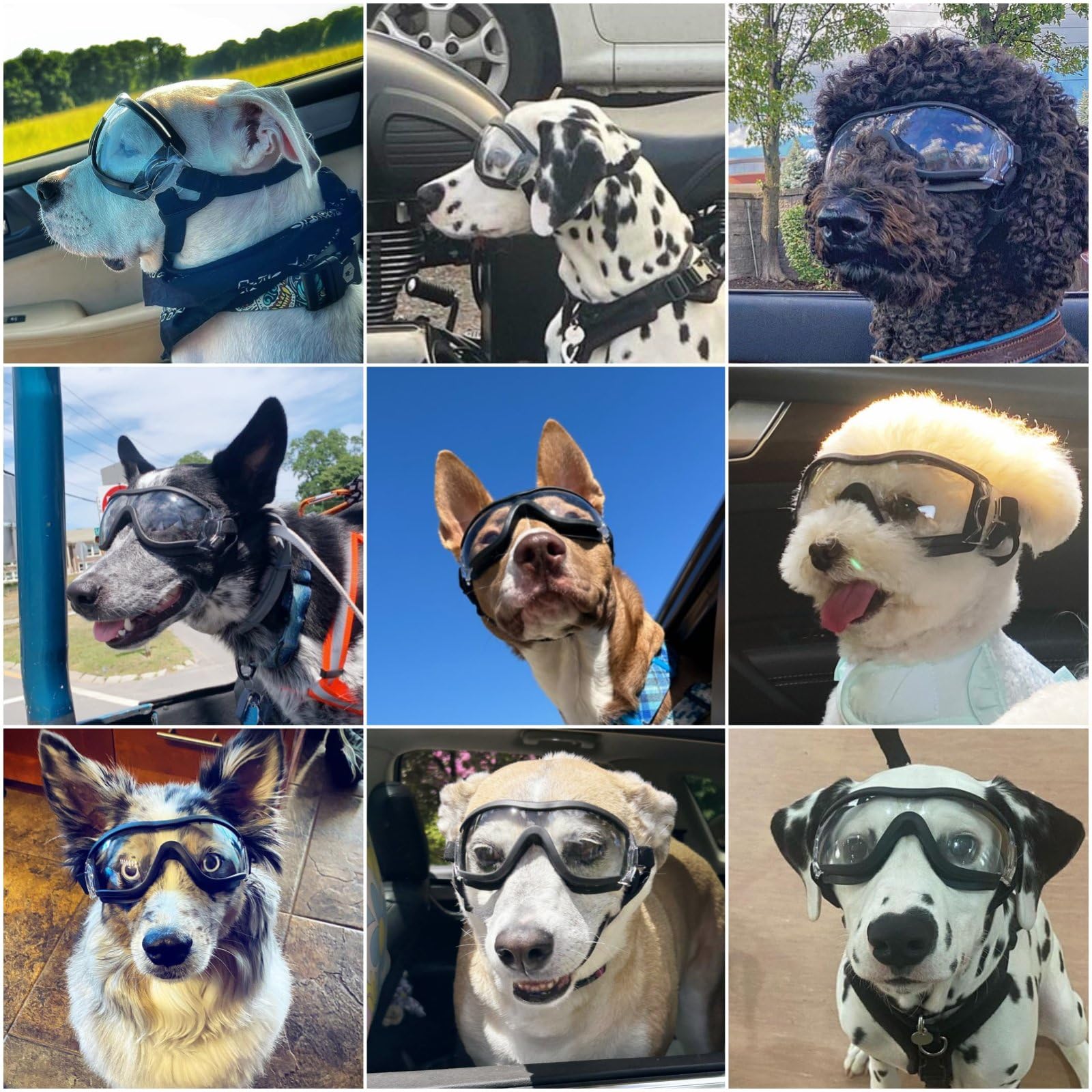 Namsan Clear Dog Goggles Large Breed, Uv-Protection Doggie Sunglasses For Medium To Large Dogs, Outdoor Dog Eye Protection, Anti