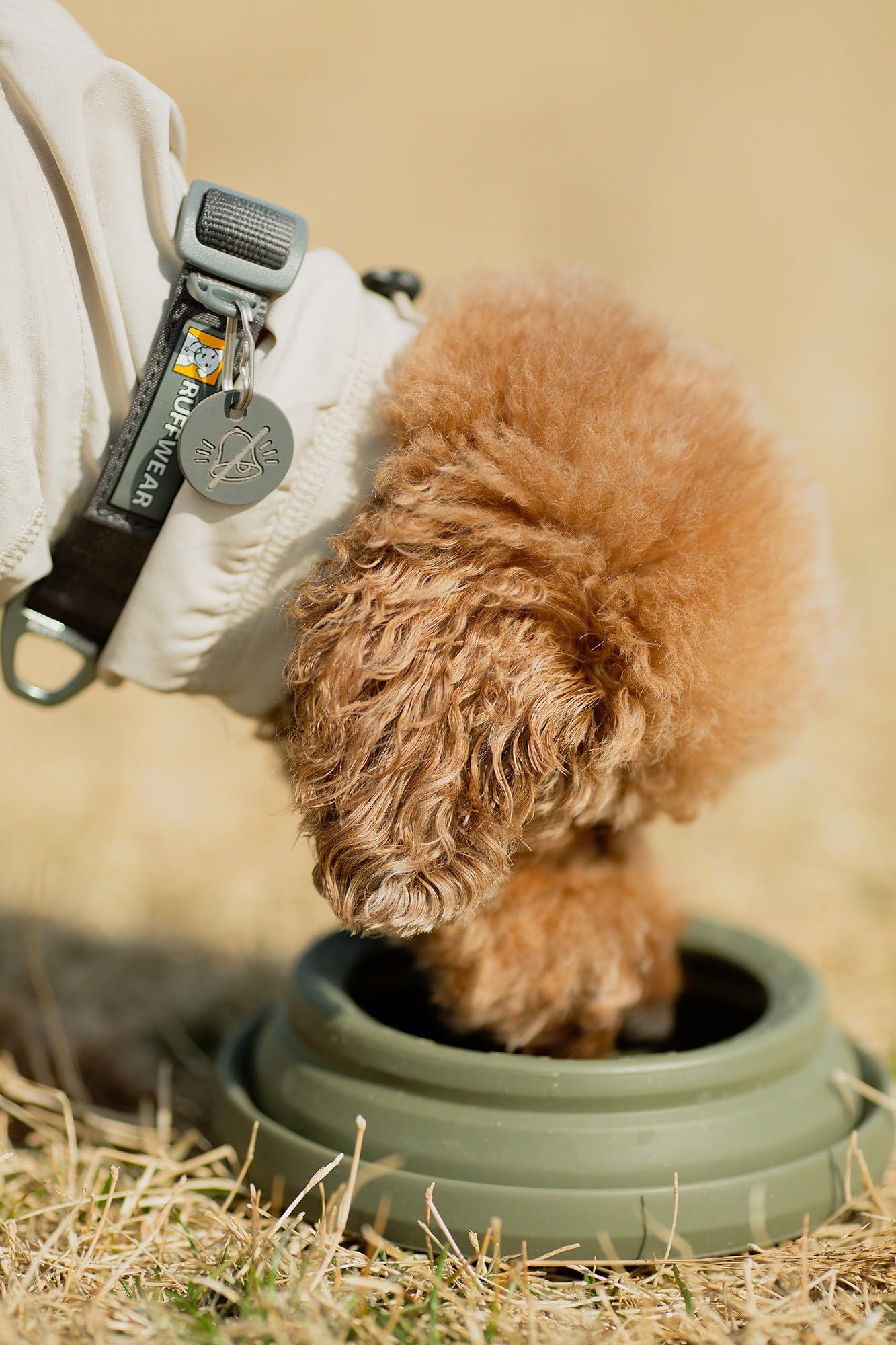 Ohmo-Collapsible Dog Water Bowl No Spill From Car Movement(24Oz Medium, Camo Green), Travel Dog Bowls, Less Splash Portable Pet Bowl For Road Trip, Cat Travel Accessories