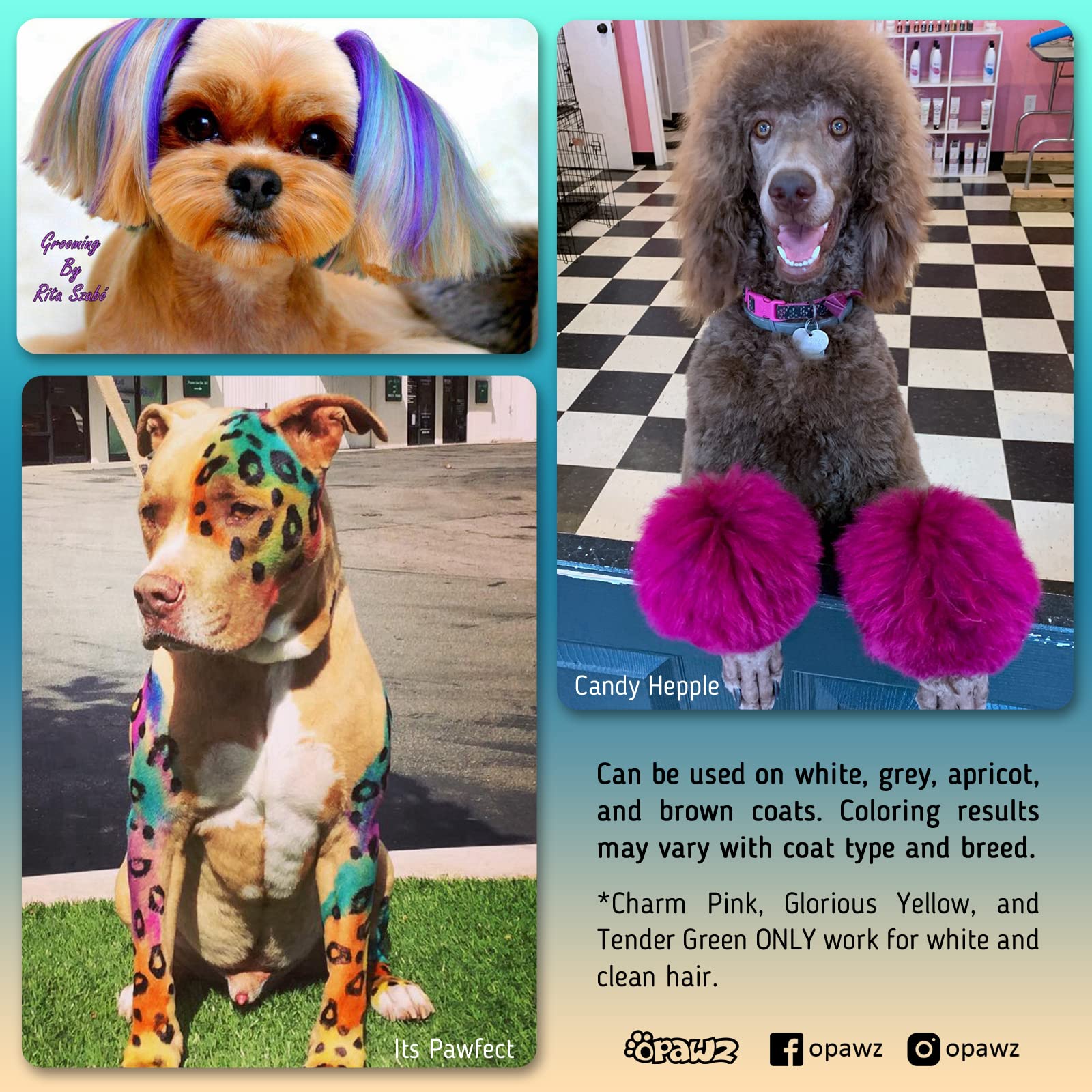 Opawz Permanent Dog Hair Dye, Pet Hair Dye Safely Used By Grooming Salons For A Decade, Pet Safe Dye Lasts Over 20 Washes, Brigh