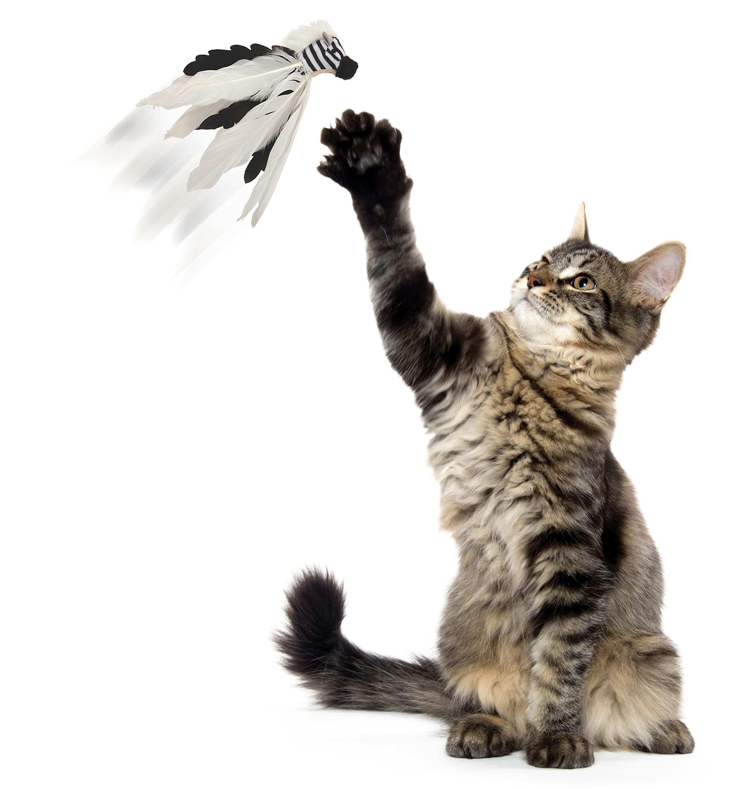 Smartykat Instincts Happynip Zingy Zebra Feathered Toss & Chase Interactive Cat Toy, Contains Catnip & Silvervine - White/Black,