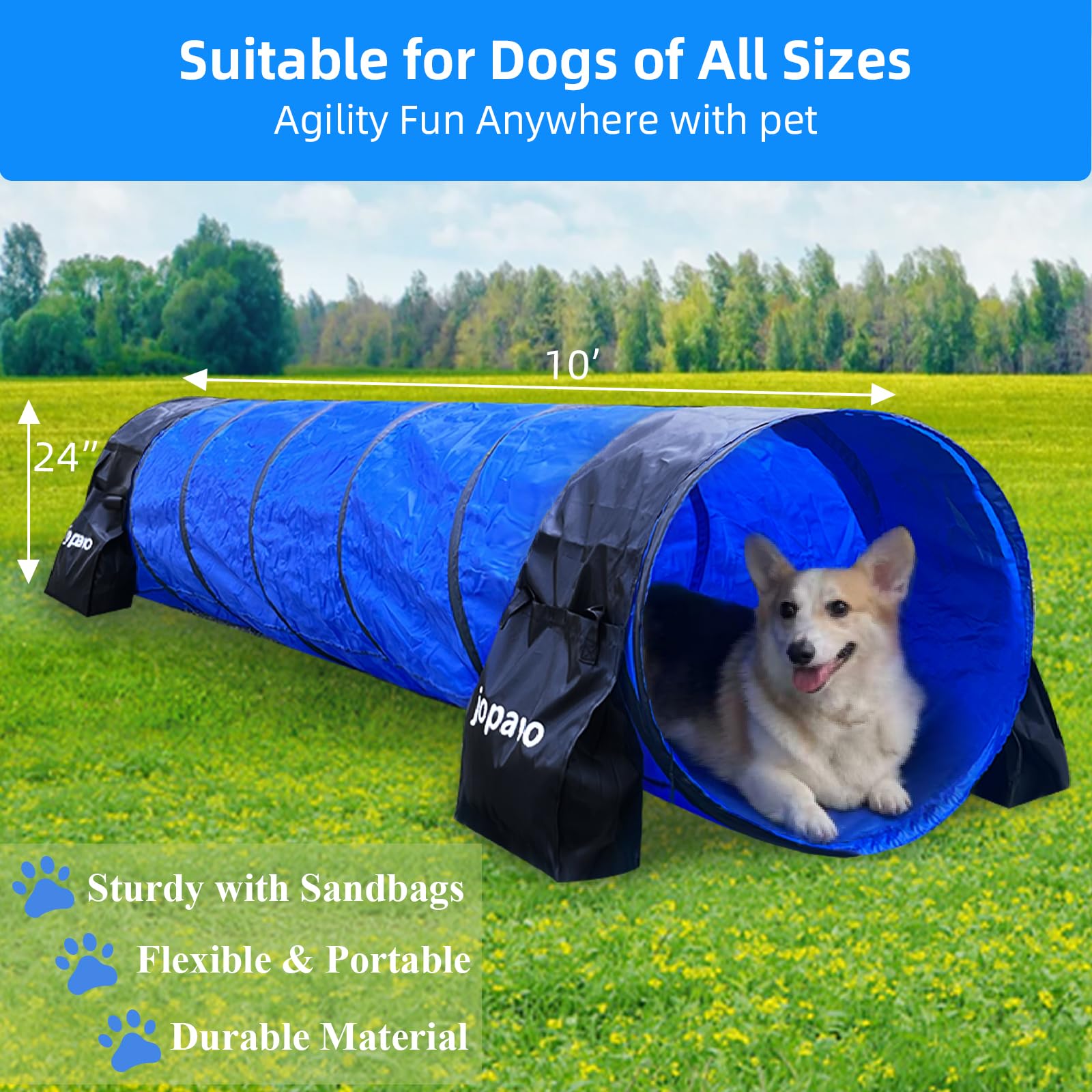 Dog Agility Training Equipment Tunnel:Jopavo 10 Foot Agility Tunnel With 2 Pack Sandbags, Carry Bag And 4 Ground Spikes.Ideal Ag