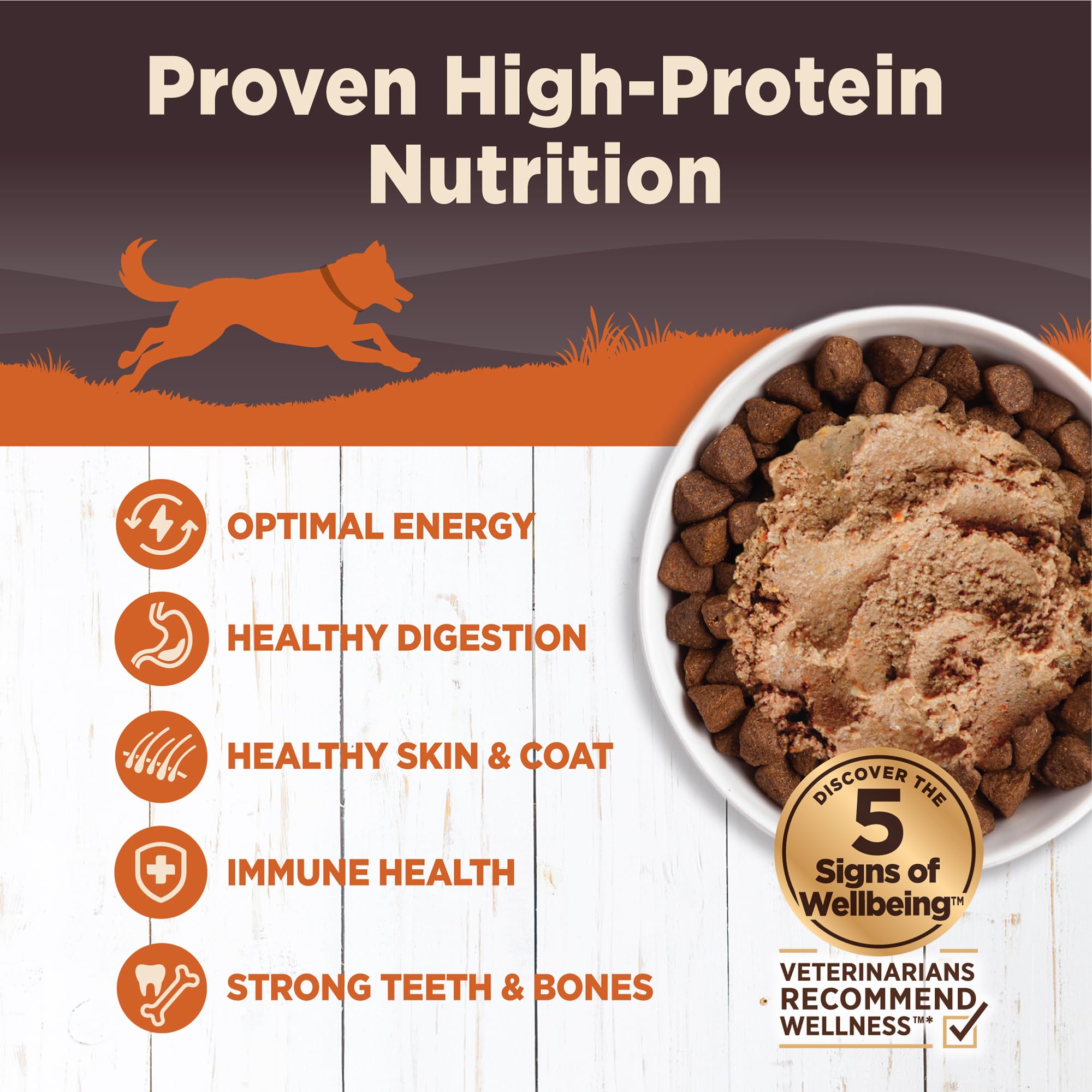 Wellness Natural Pet Food CORE Natural Wet Grain Free Canned Dog Food, Turkey & Chicken, 12.5-Ounce Can (Pack of 12)