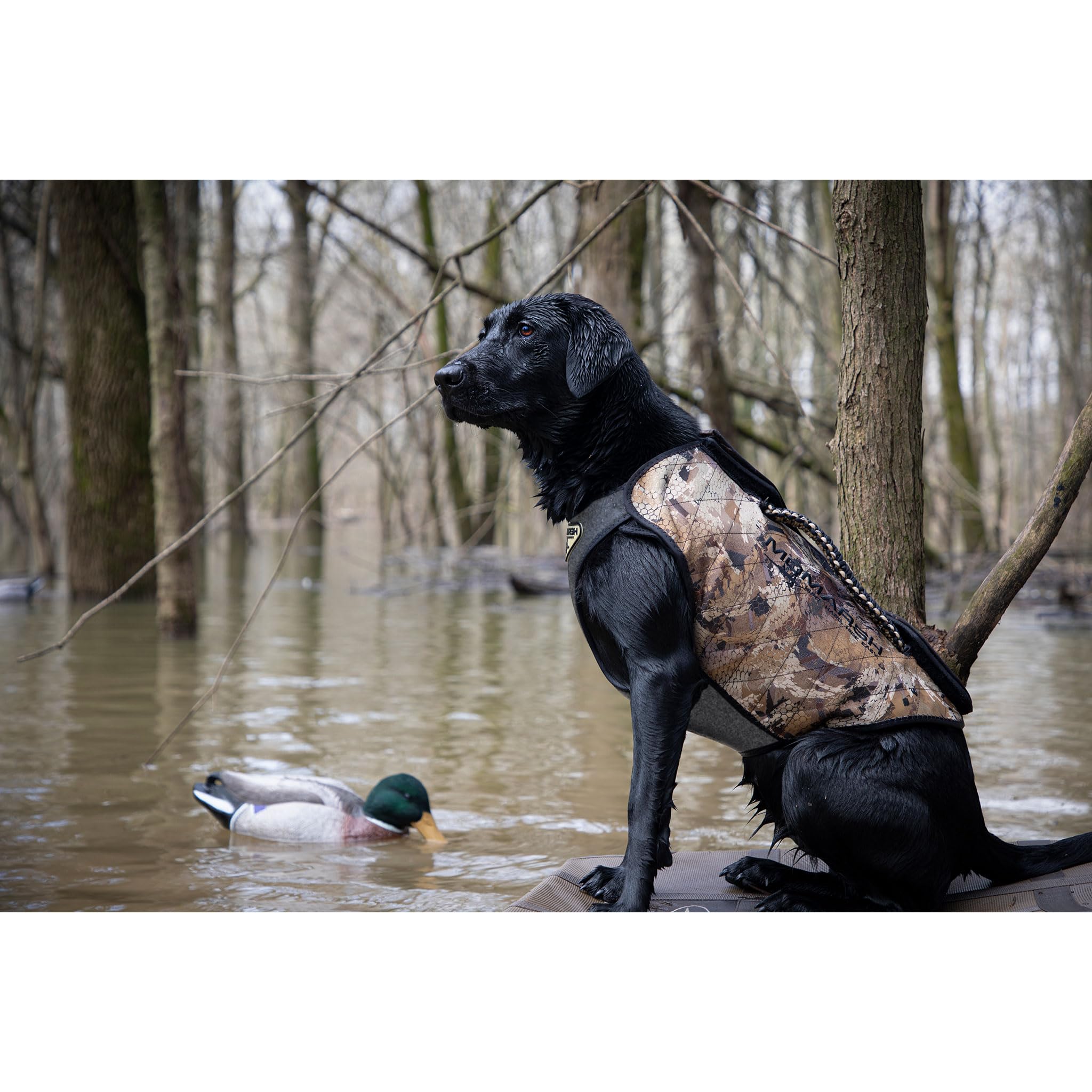 Momarsh Adjustable Dog Vest | Universal Neoprene Sporting Dog Vest For Waterfowl Hunting, & Water Training | Perfect Pet Vest Retains Heat In Cold & Wet Conditions, Optifade Marsh