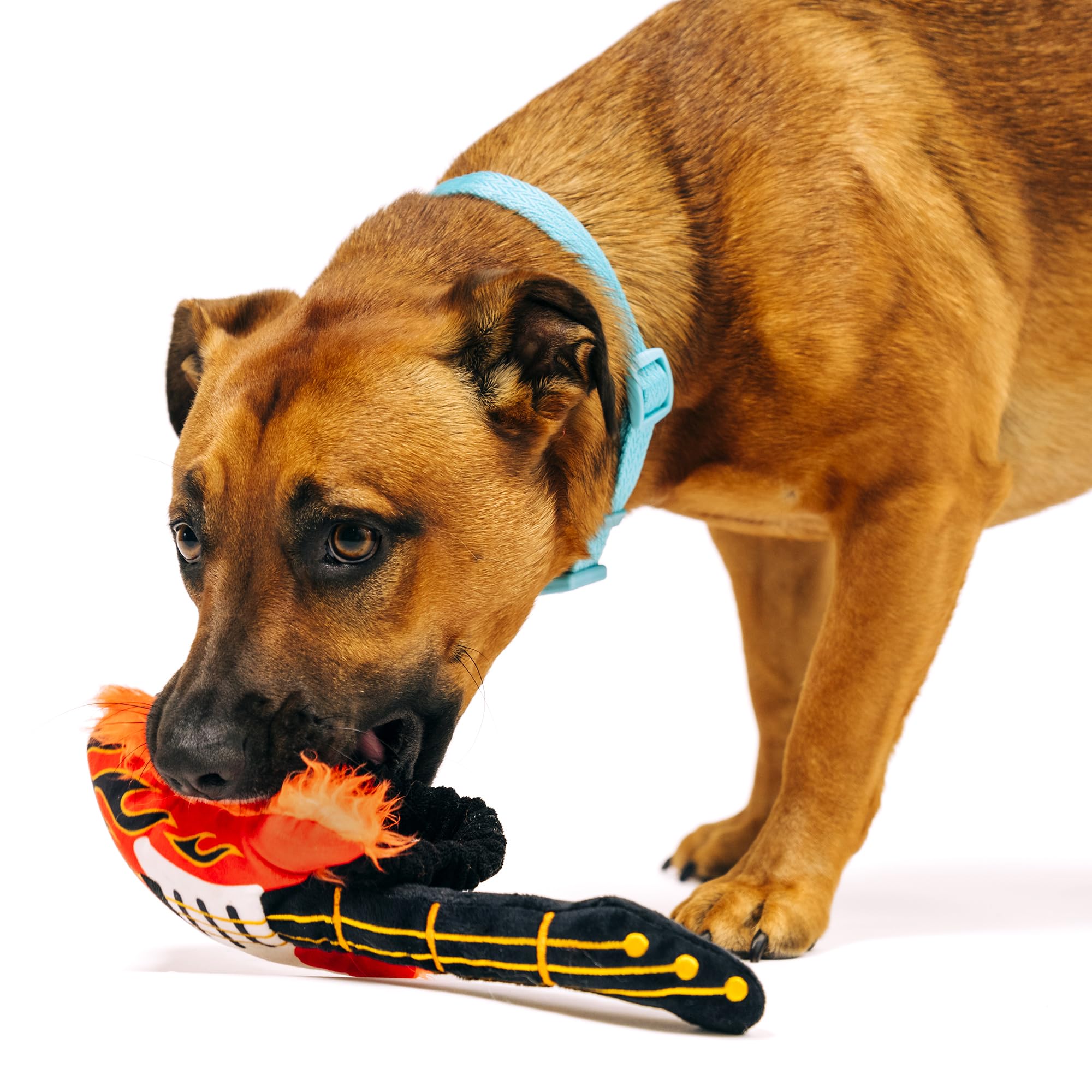 P.L.A.Y. Cute Plush Dog Toys - 1990S Classics Themed Durable Squeaker Chew Toy, Great For Puppies & Small, Medium, Large Dogs -