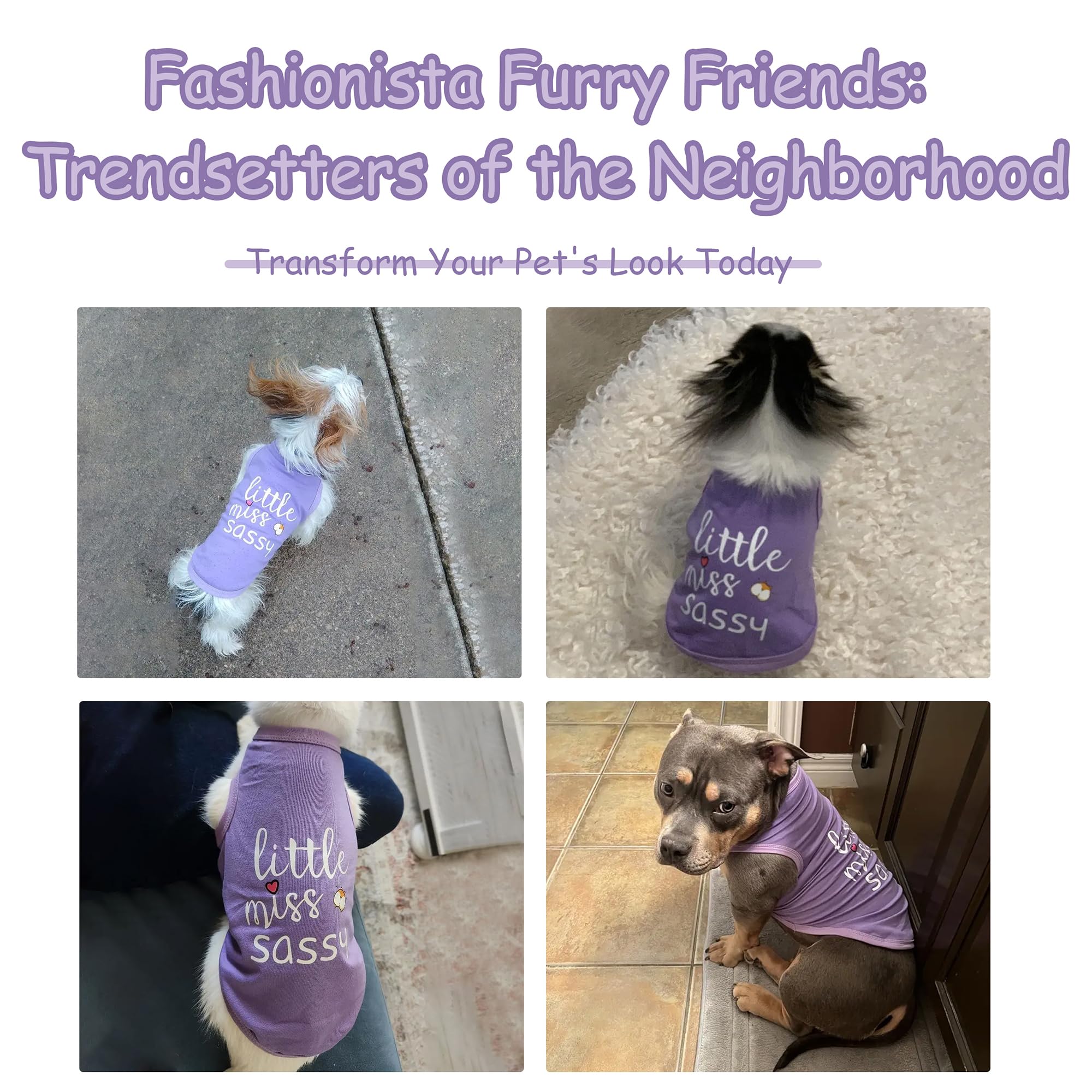 Paiaite Dog Clothes Fashionable Sleeveless Pet Vest: 'Little Miss Sassy' Printed Cotton Dog Shirt, Ideal For Small, Medium, And