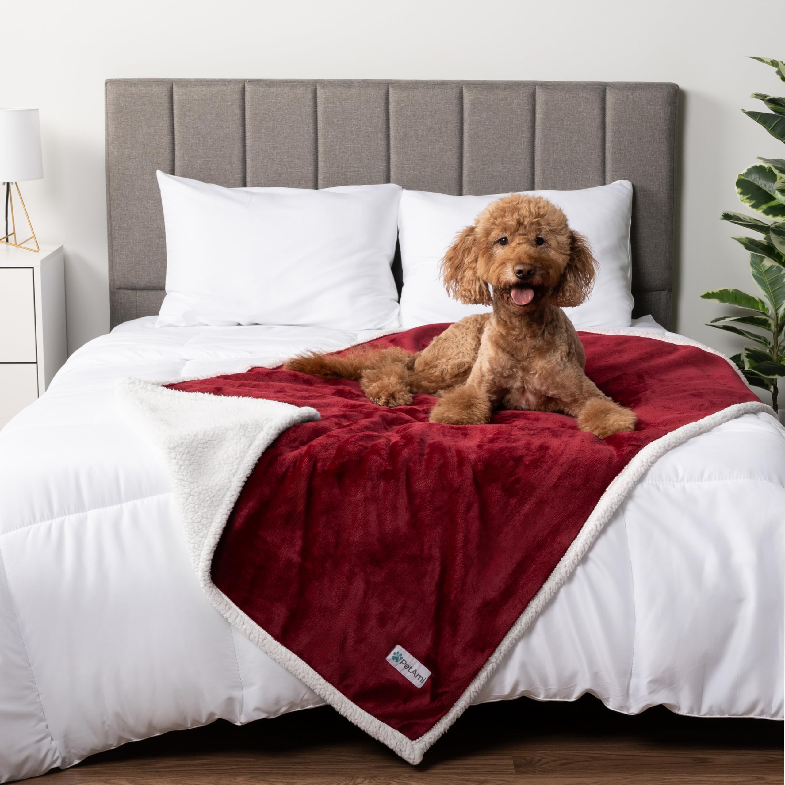 Petami Waterproof Dog Blanket For Medium Large Dog, Pet Puppy Blanket Couch Cover Protection, Sherpa Fleece Cat Blanket, Sofa Bed Furniture Protector Reversible Soft Plush Washable, 60X40 Wine Red